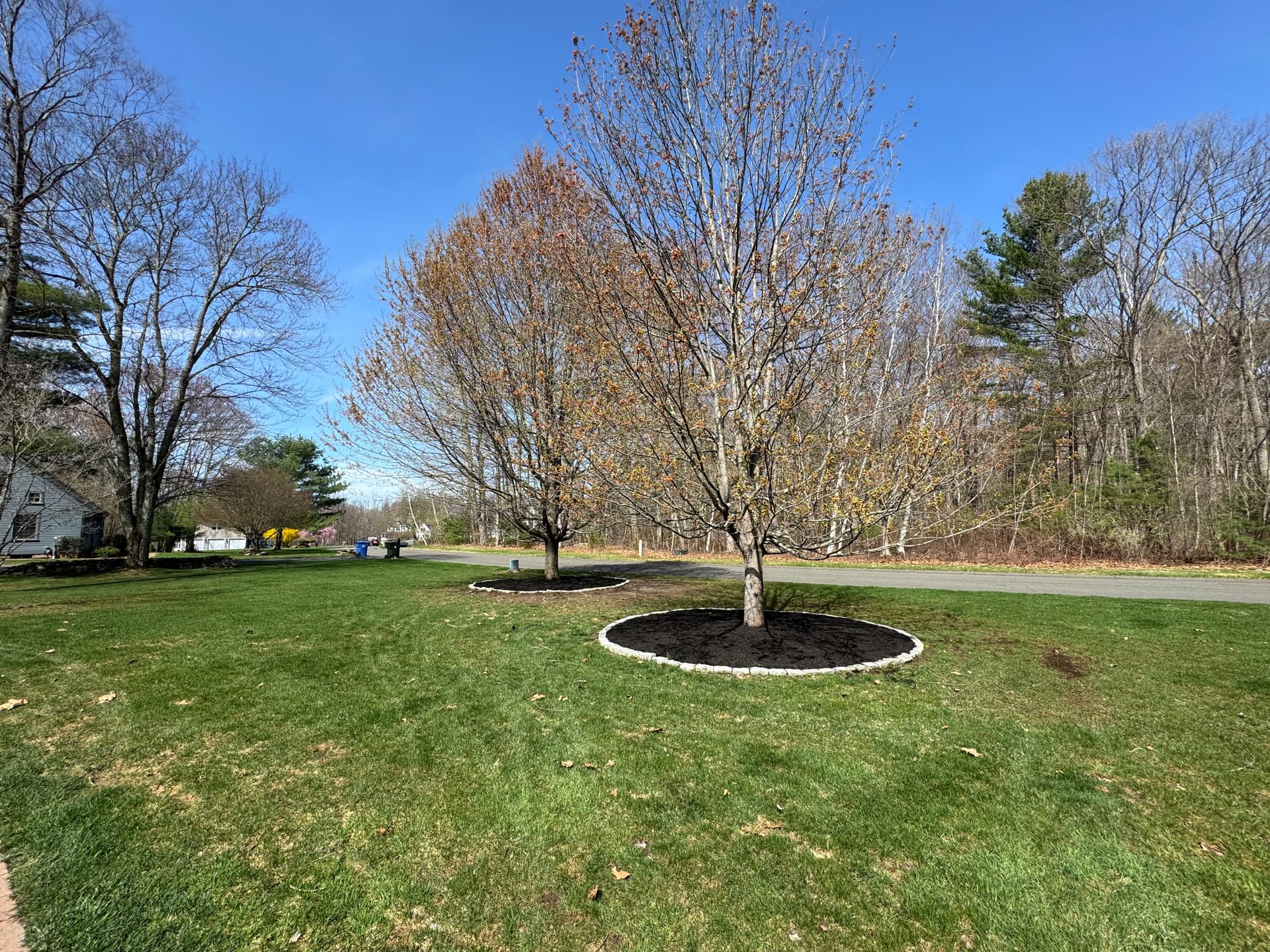 Fresh Mulch, Clean Beds and a Property That Shows It