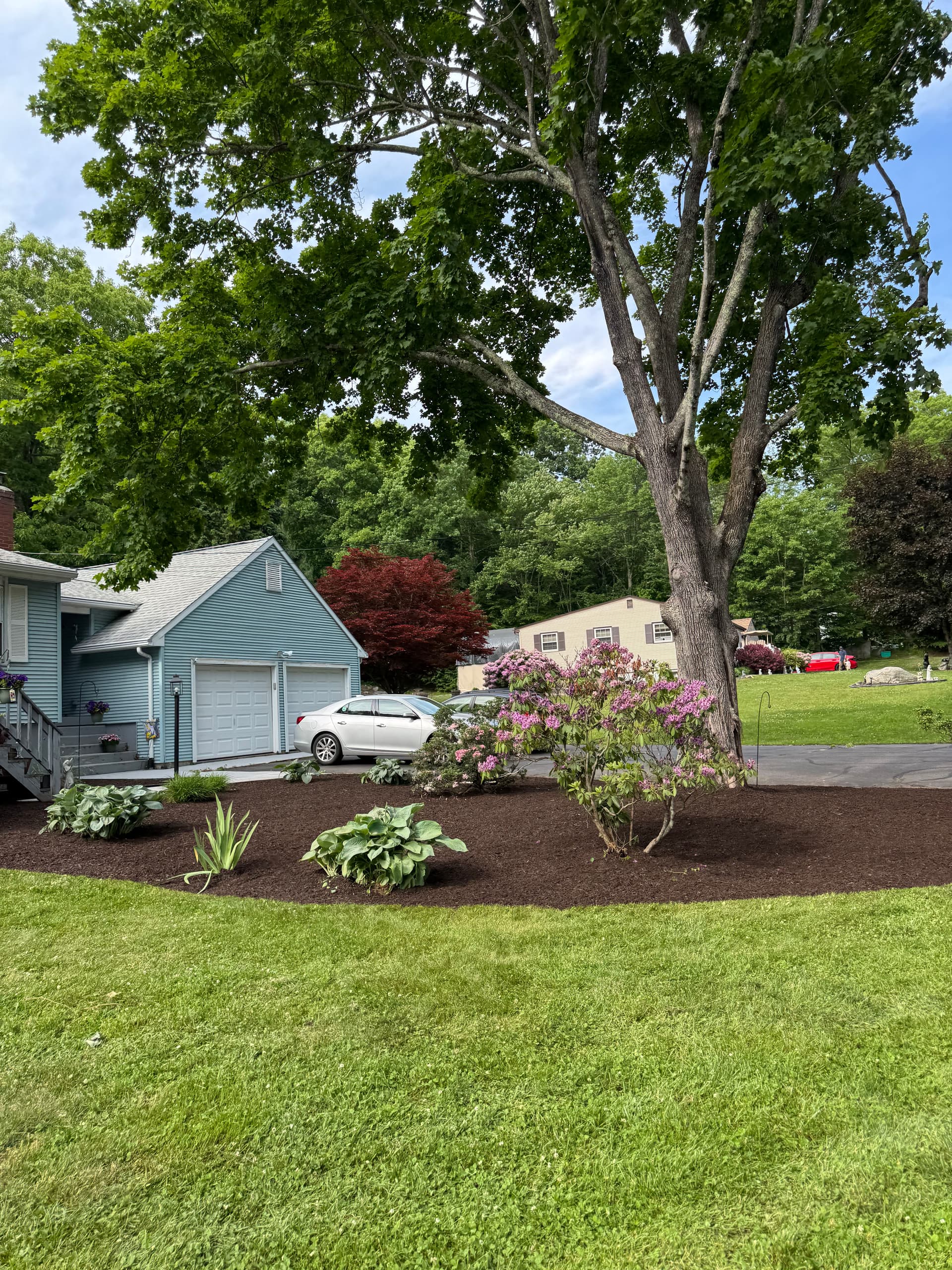 Gallery photos for Fresh Mulch and Clean Beds Make a Huge Difference: Image #8