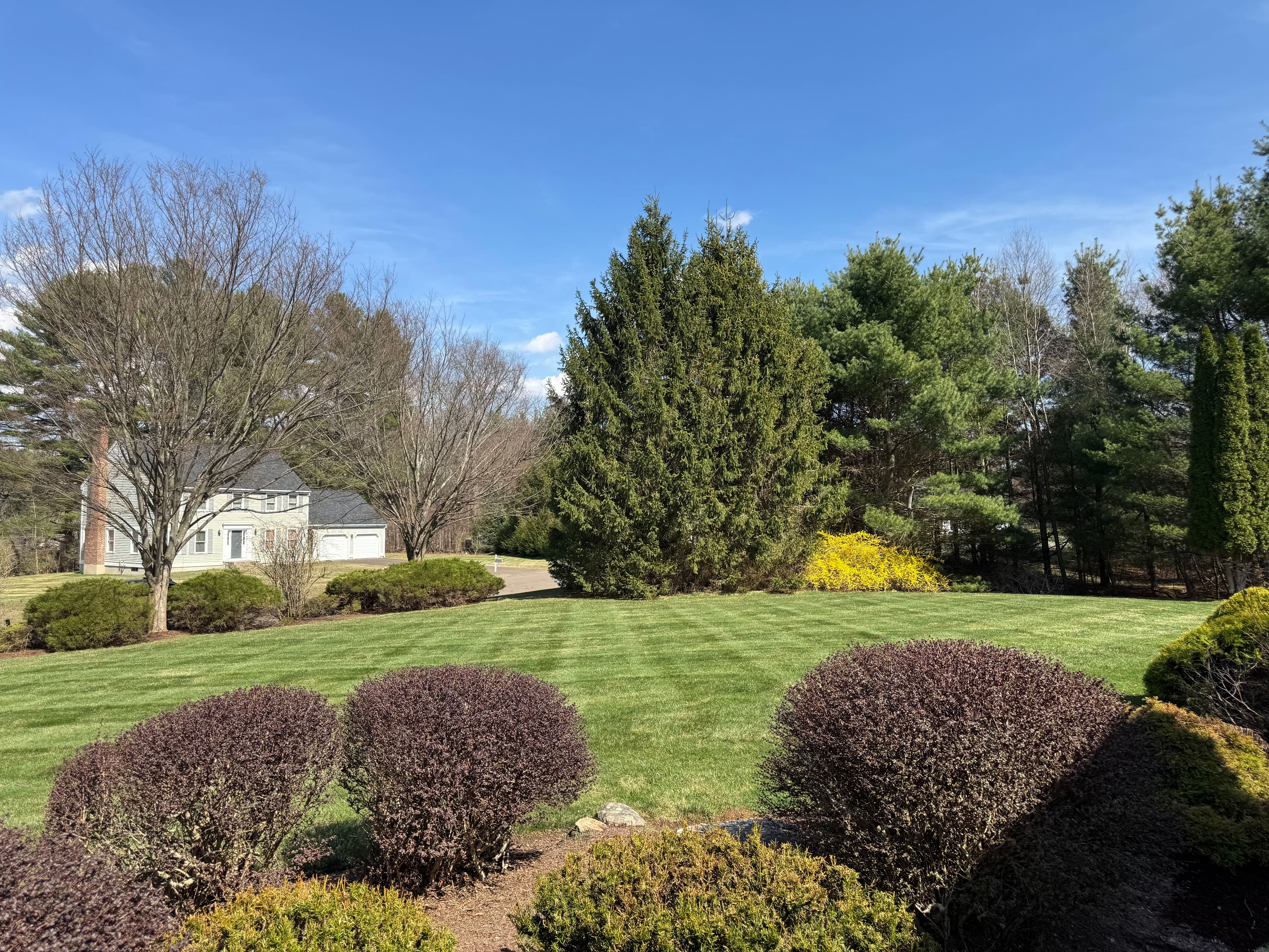 Project 2026 Mowing Season Slots Are Filling Fast image