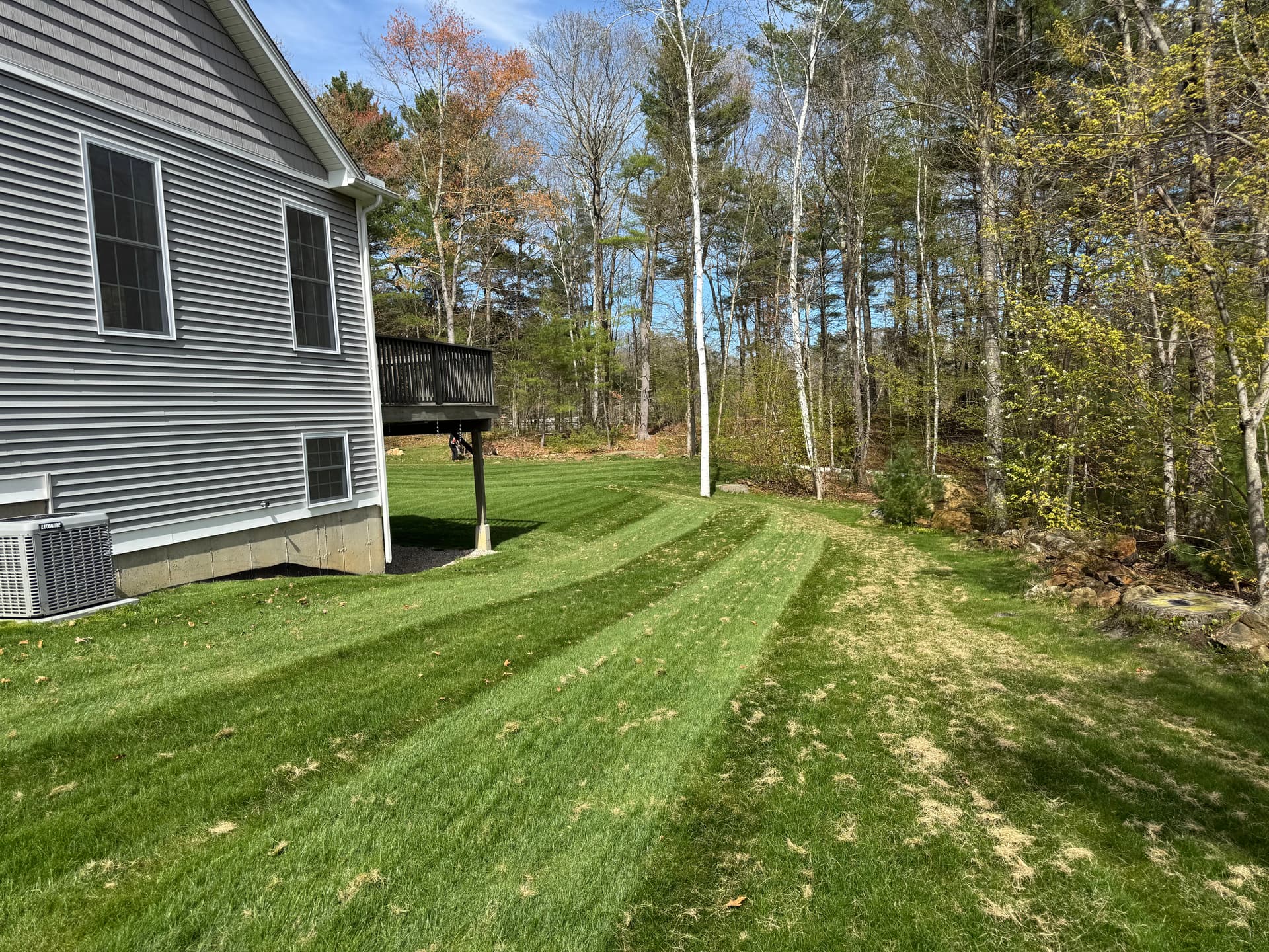 Dethatching, Aeration, and Overseeding Done Right in Willington image