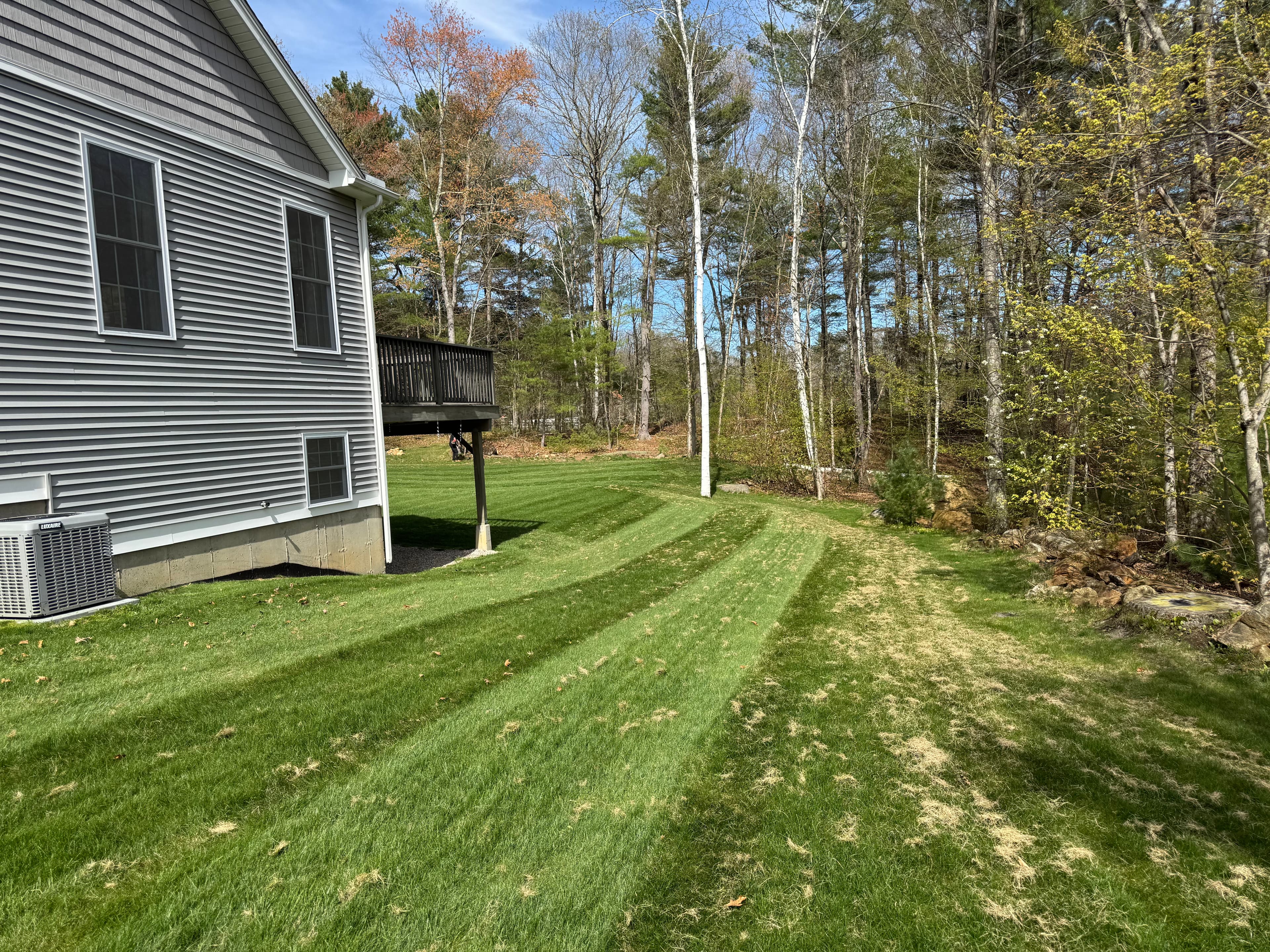 Project Dethatching, Aeration, and Overseeding Done Right in Willington image