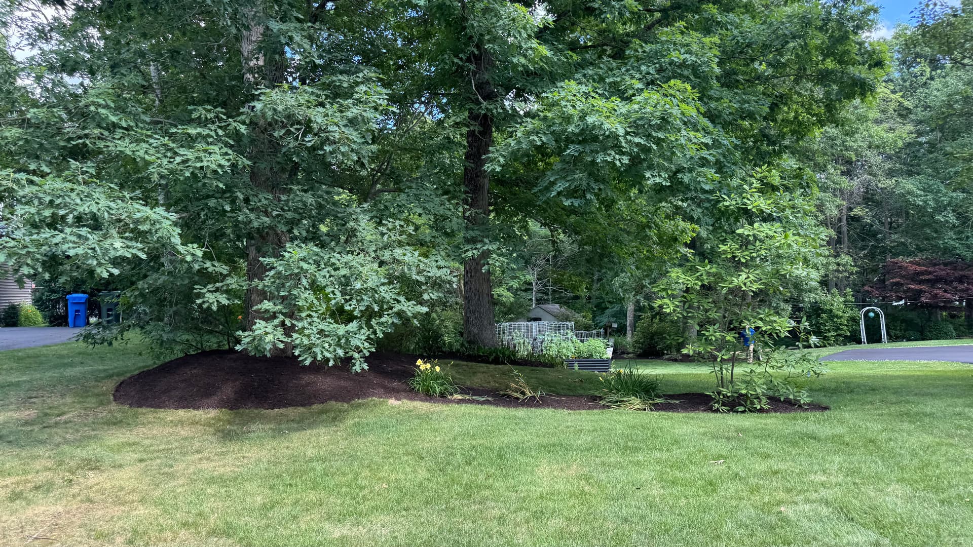 Gallery photos for 20-Yard Mulch Job in Tolland That Made a Real Difference: Image #4