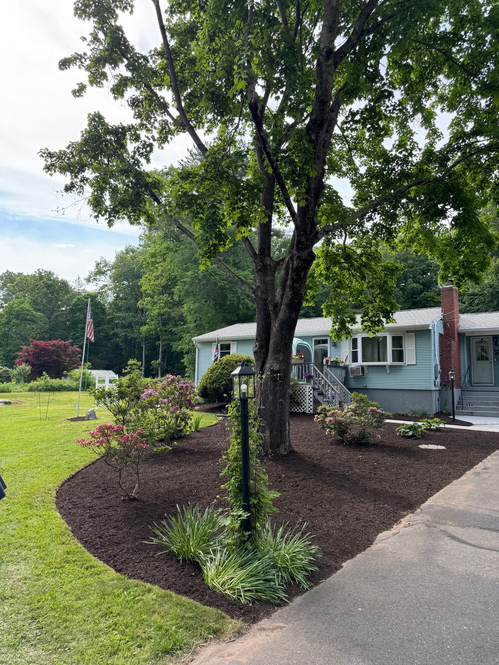 Gallery photos for Fresh Mulch and Clean Beds Make a Huge Difference: Image #7