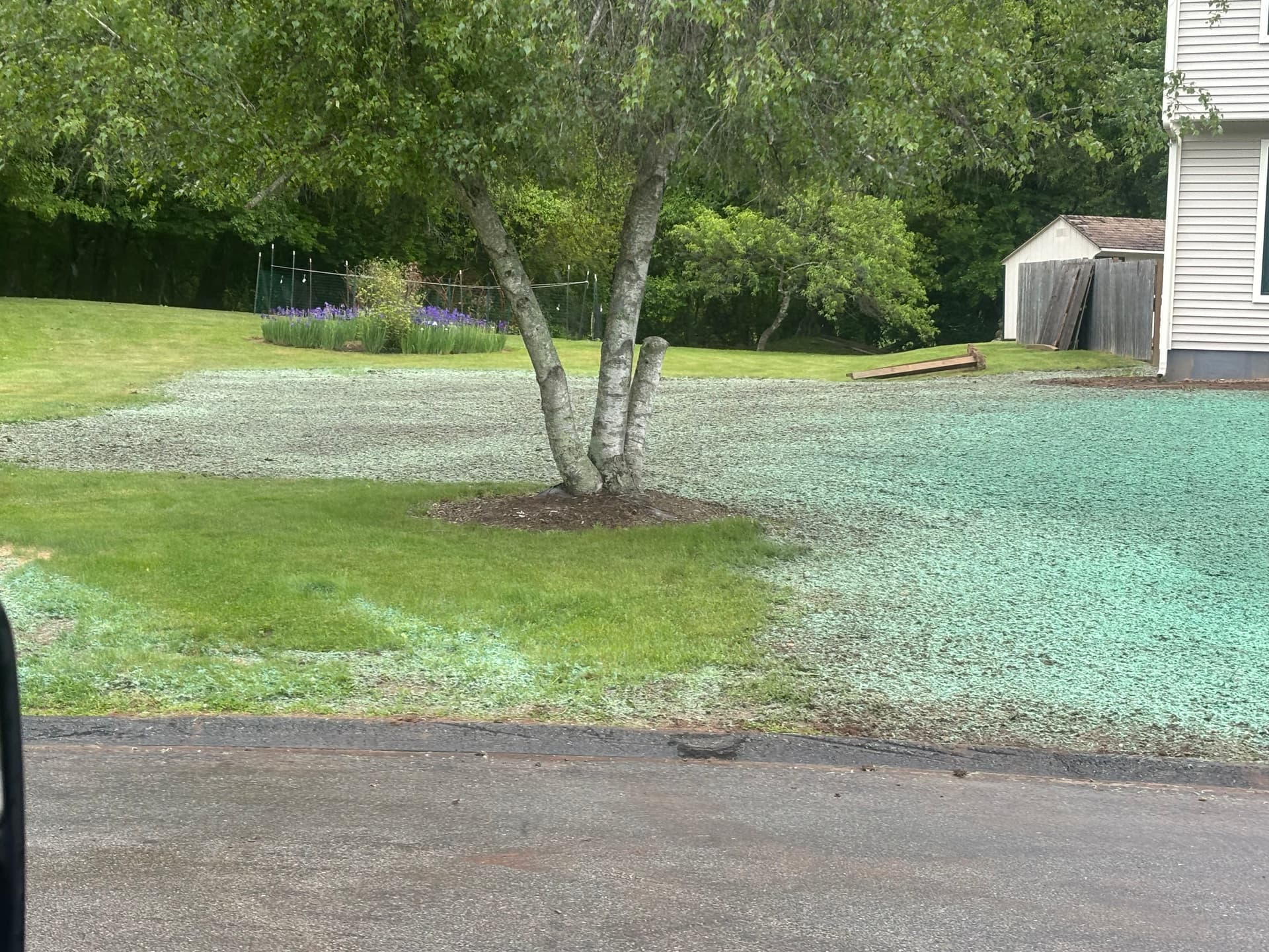 Lawn Restoration After Foundation Work in Tolland CT