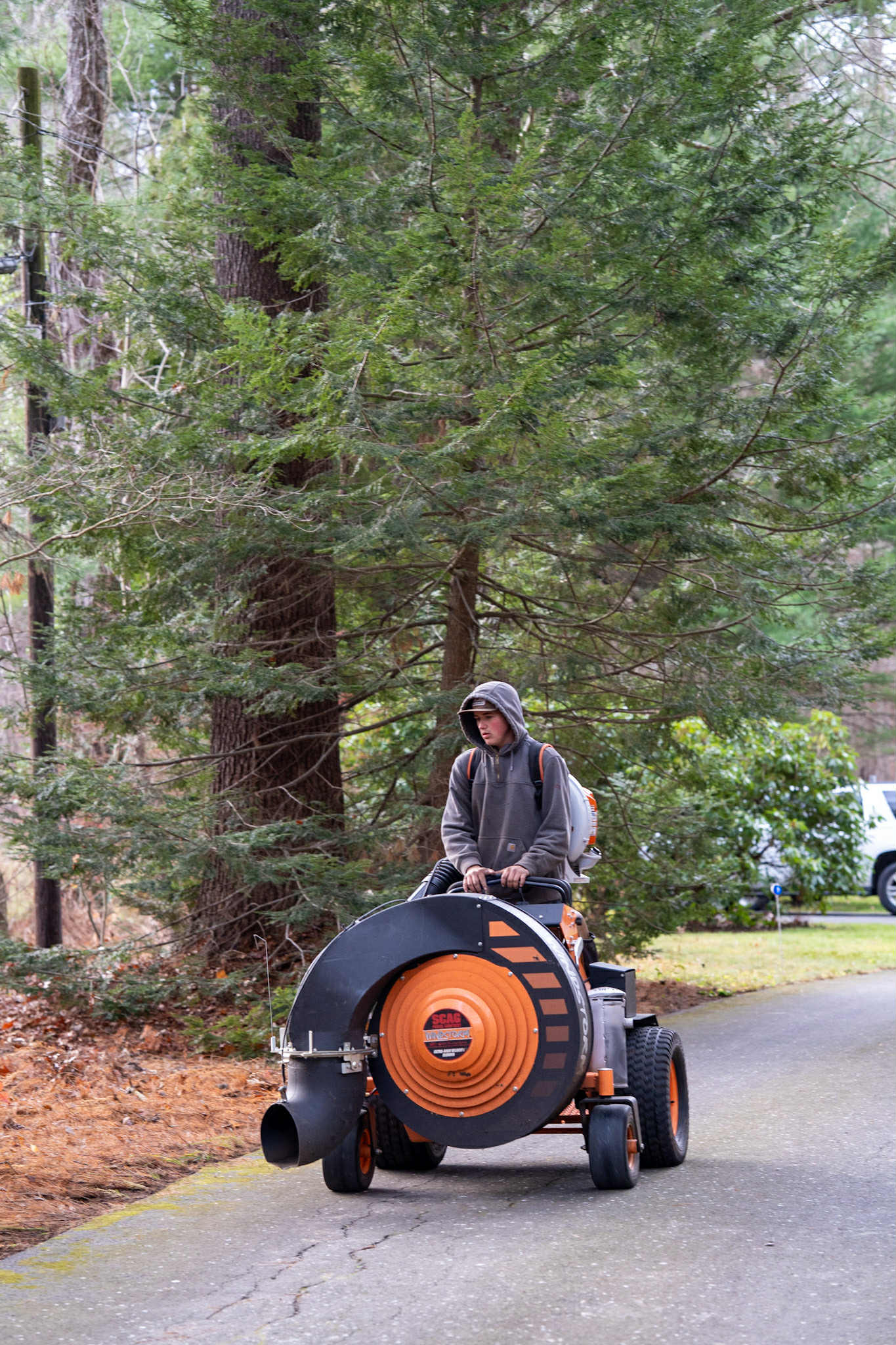 Project Fall Cleanup Services Now Available image