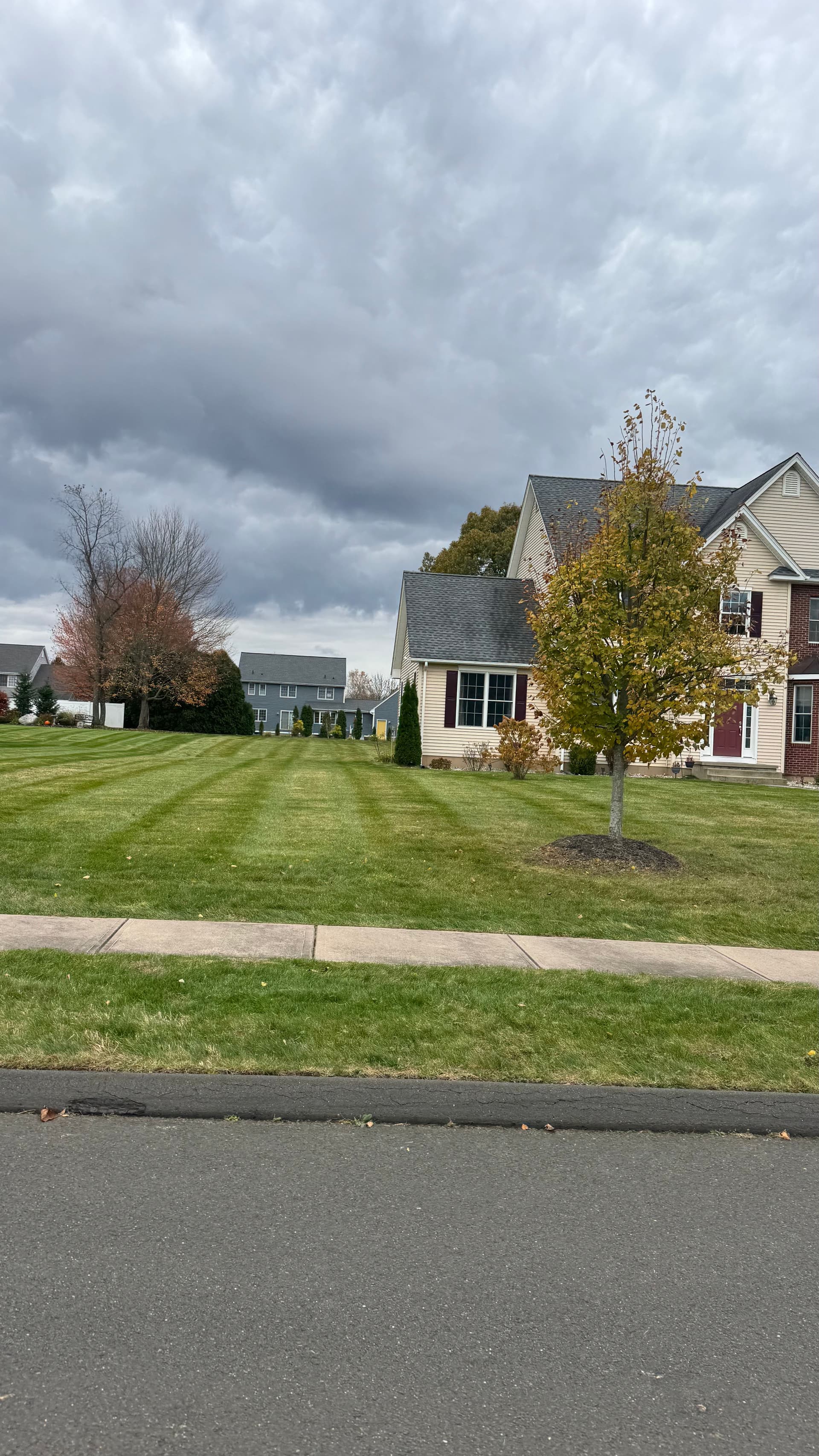 Gallery photos for Stunning Seasonal Lawn Care in South Windsor: Image #2