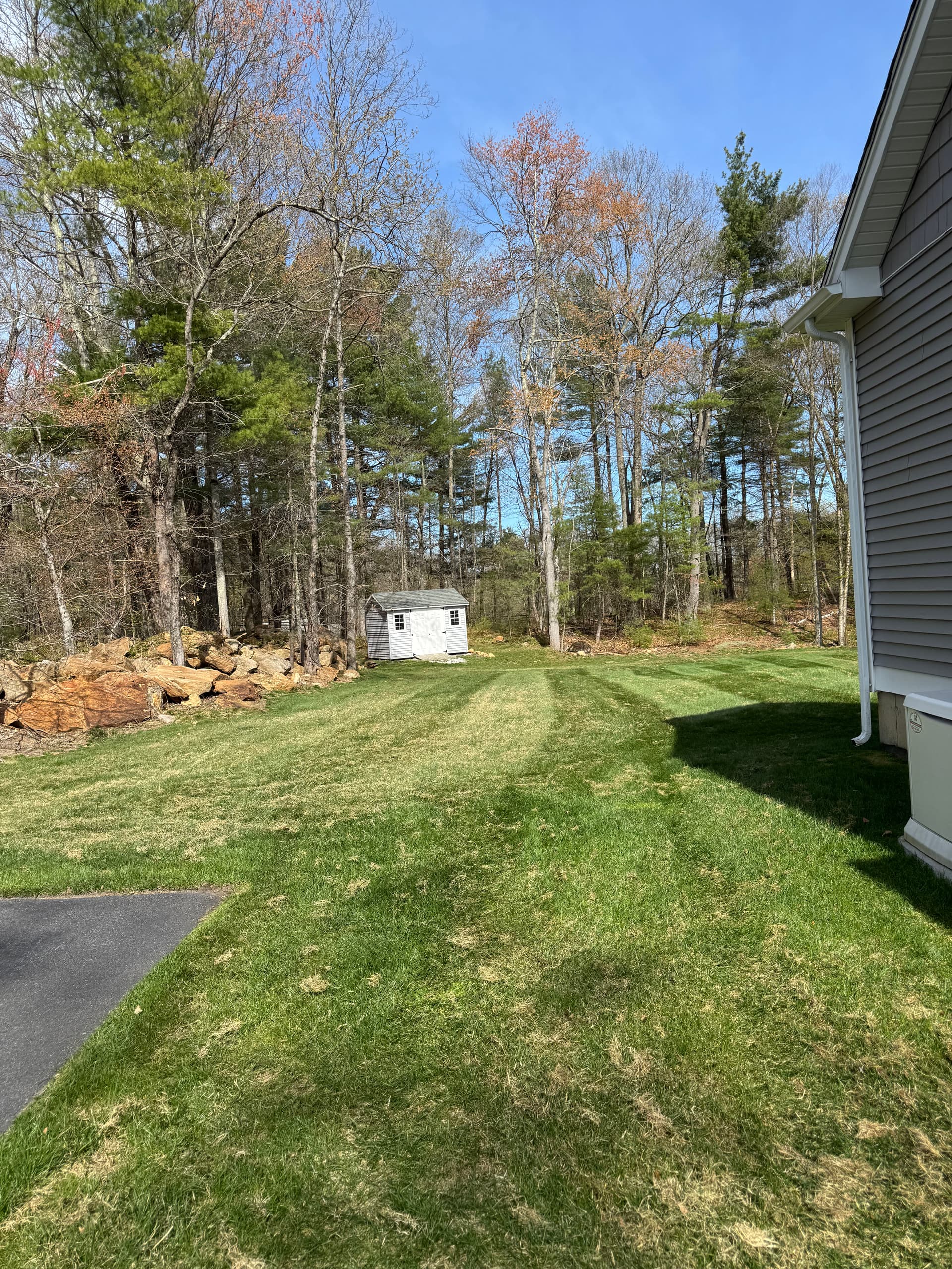 Gallery photos for Dethatching, Aeration, and Overseeding Done Right in Willington: Image #2