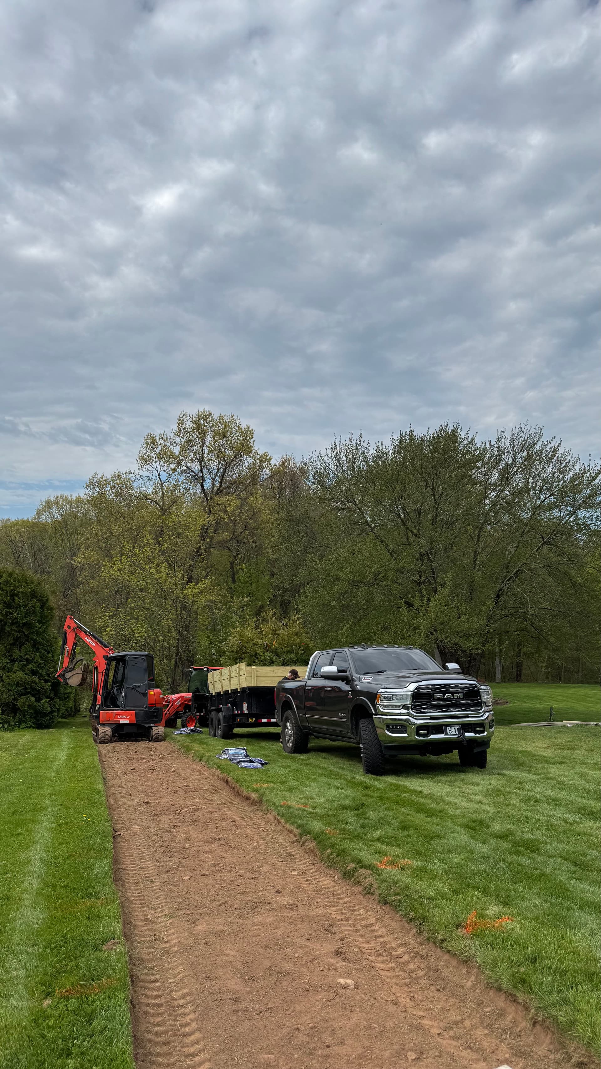 Gallery photos for 26 Thuja Green Giants Planted for Privacy in Ellington CT: Image #1