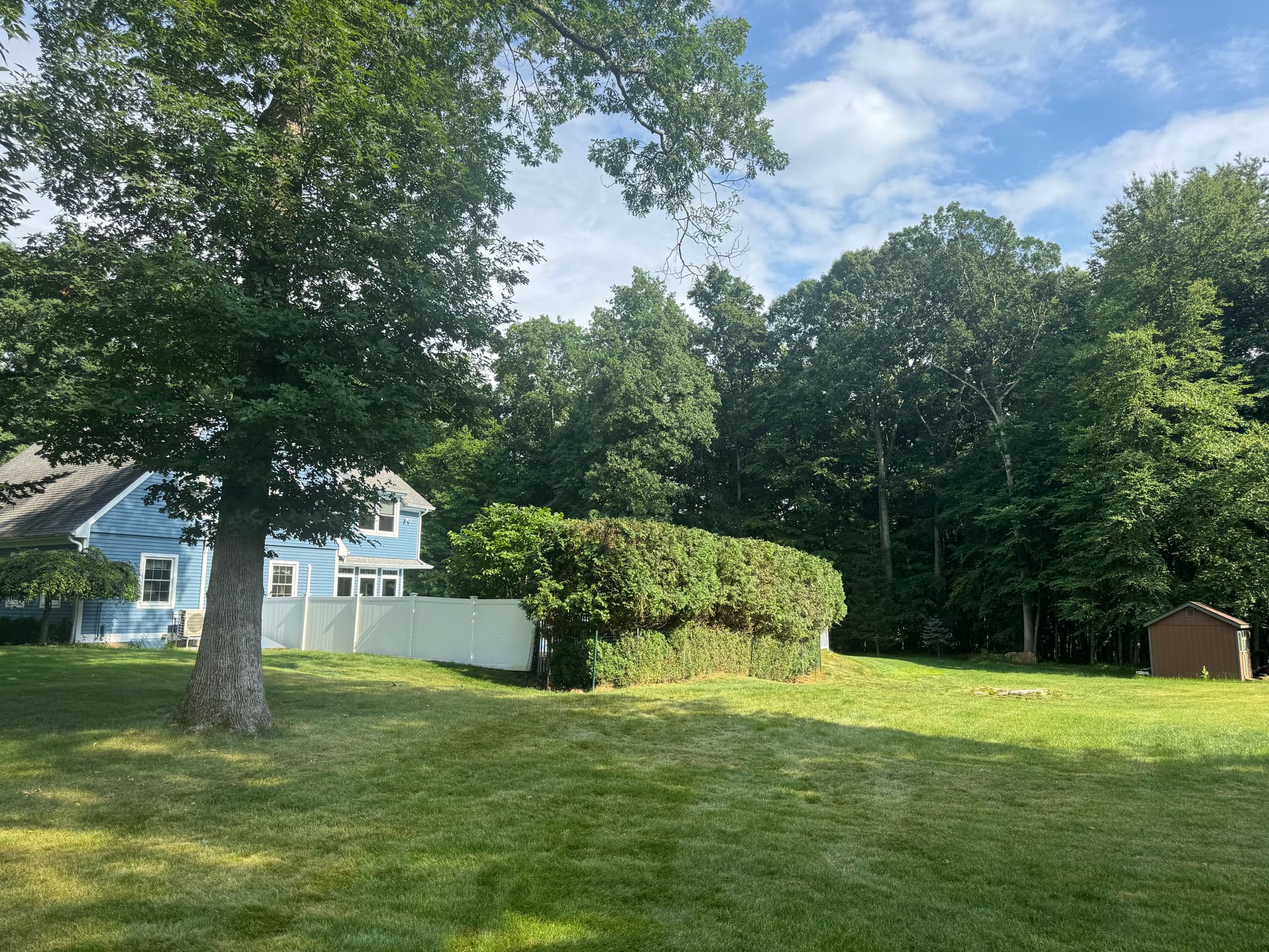 Hedge Trimming Done Right in Tolland CT image