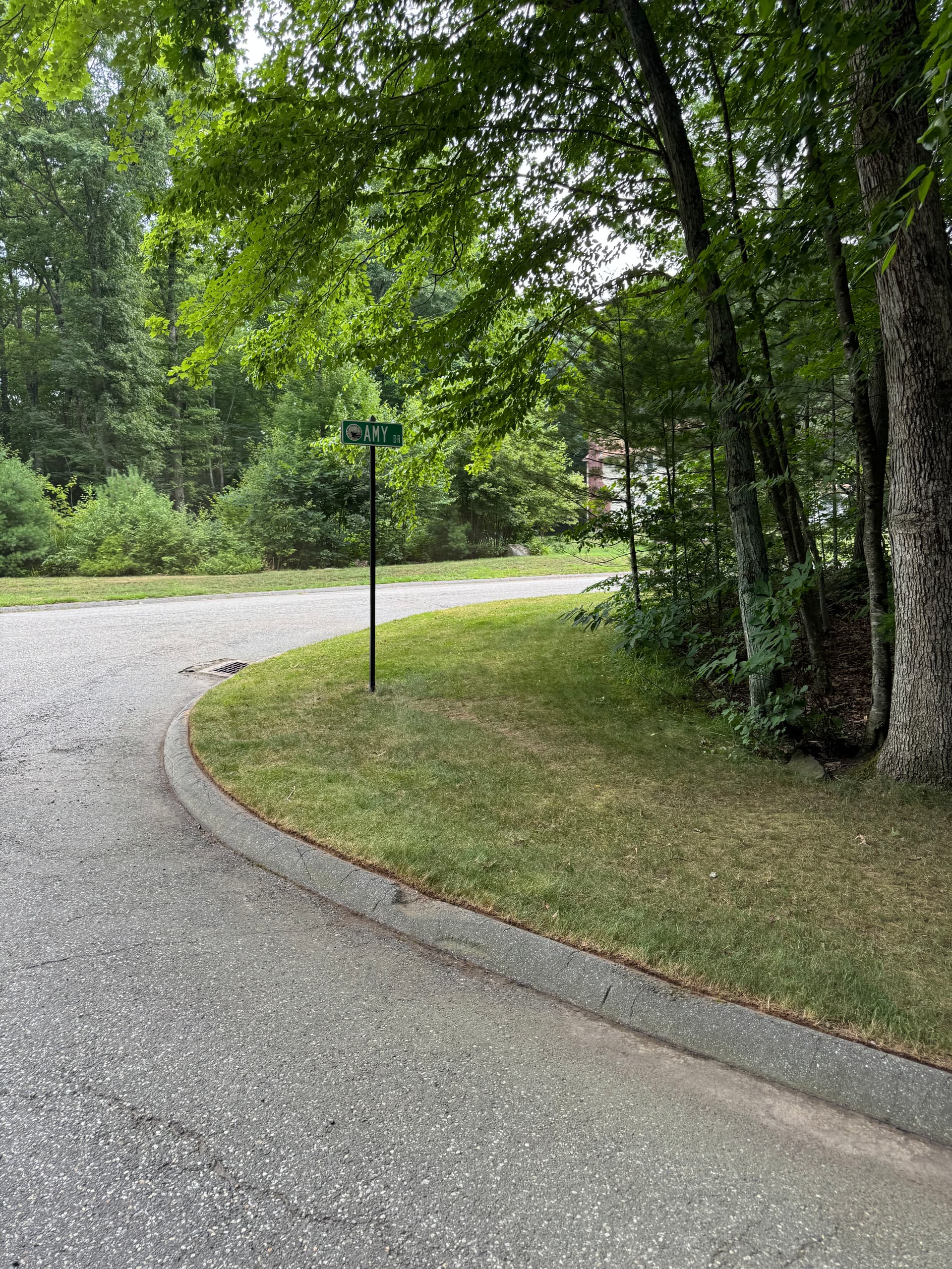 Curb Appeal Starts at the Curb Line image