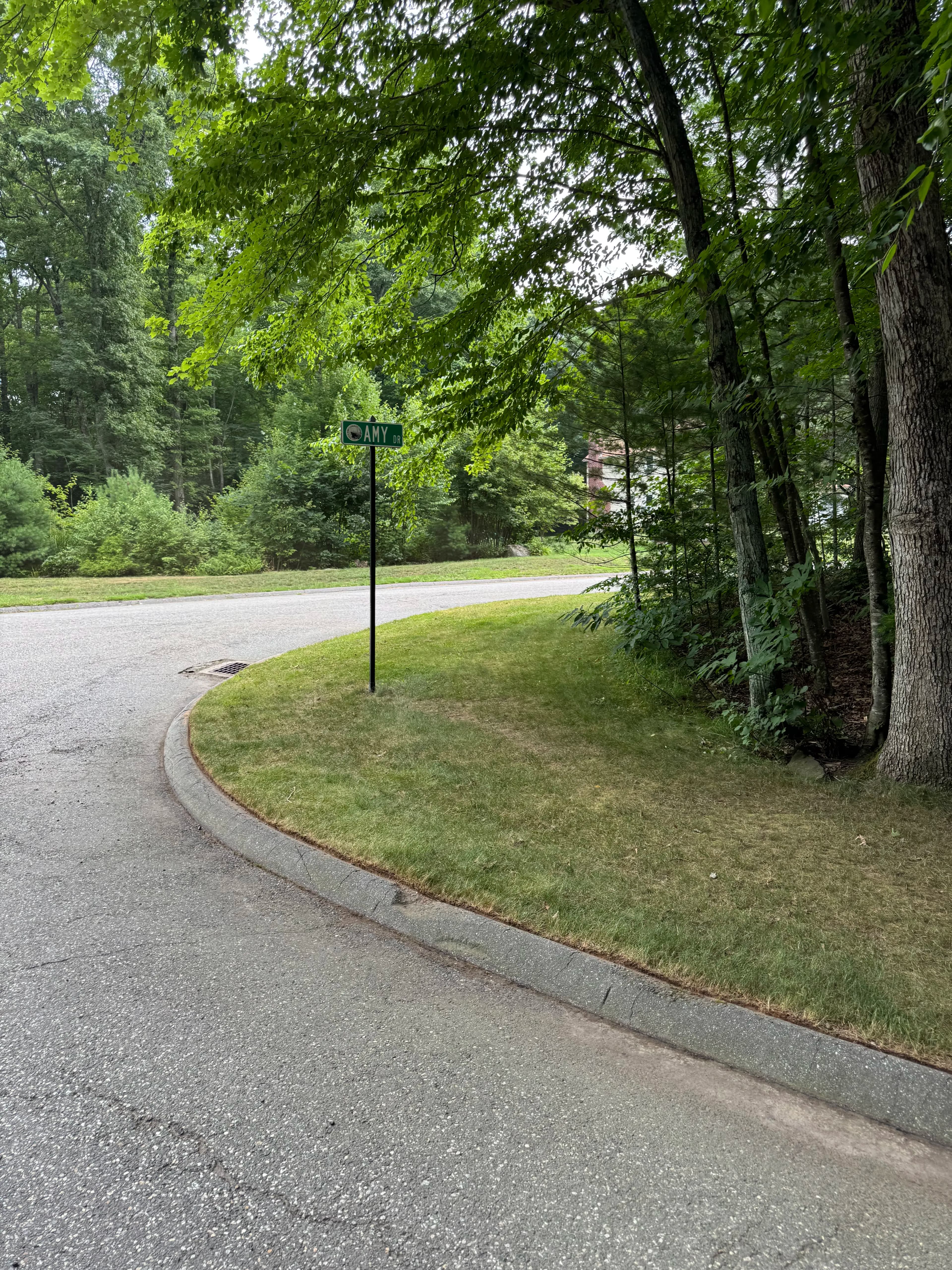 Project Curb Appeal Starts at the Curb Line image