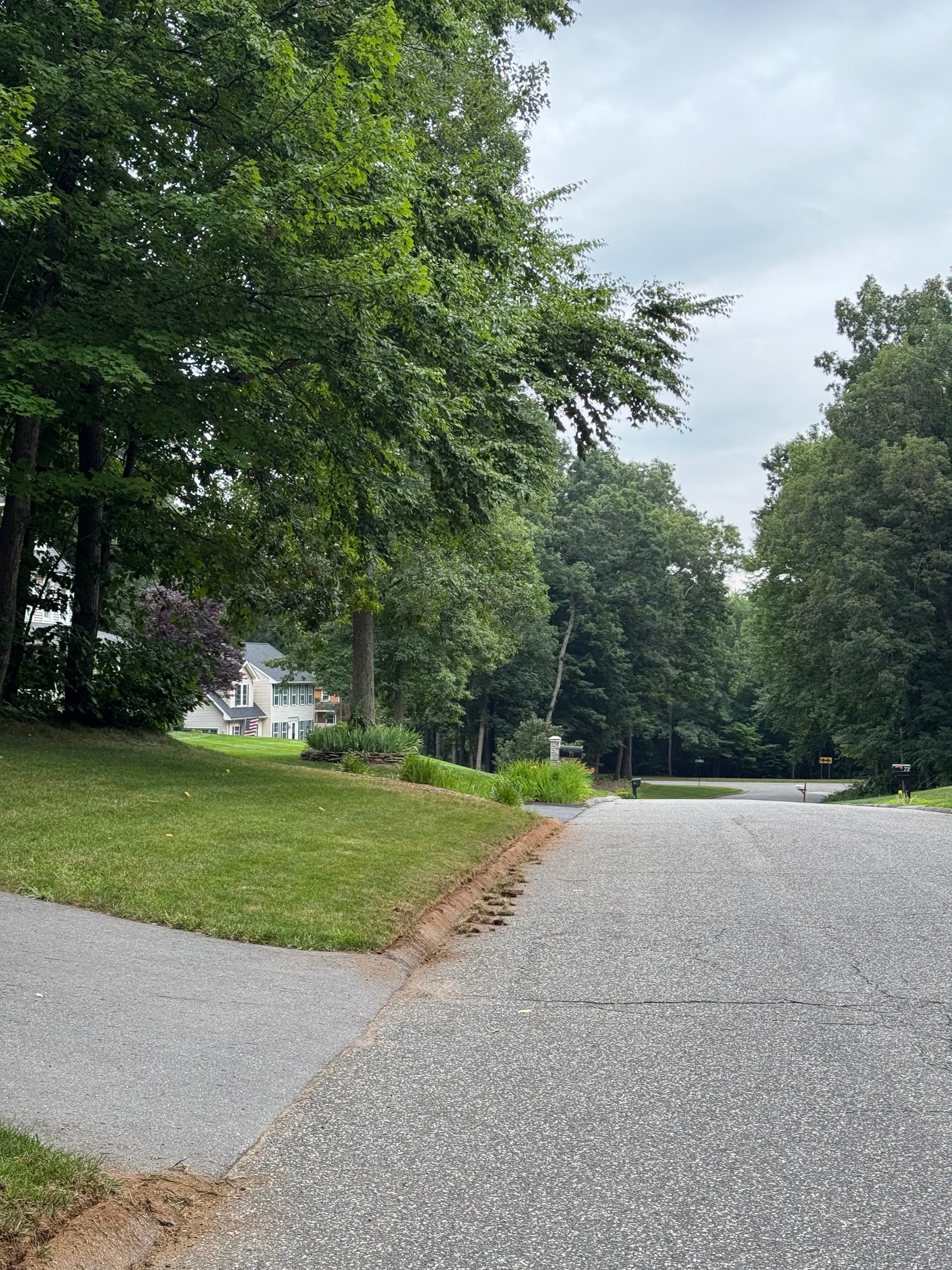 Gallery photos for Curb Appeal Starts at the Curb Line: Image #3