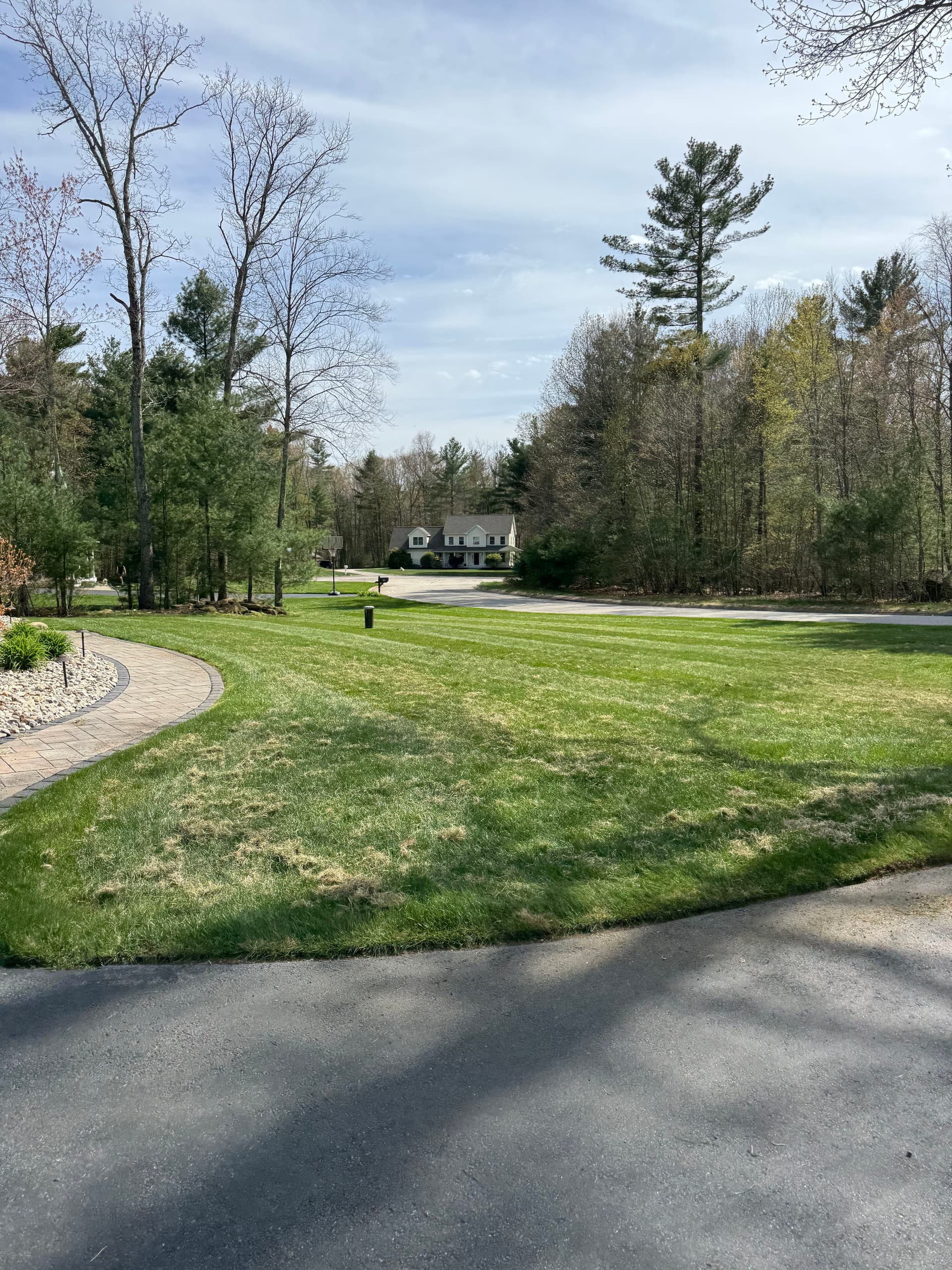 Gallery photos for Dethatching, Aeration, and Overseeding Done Right in Willington: Image #4