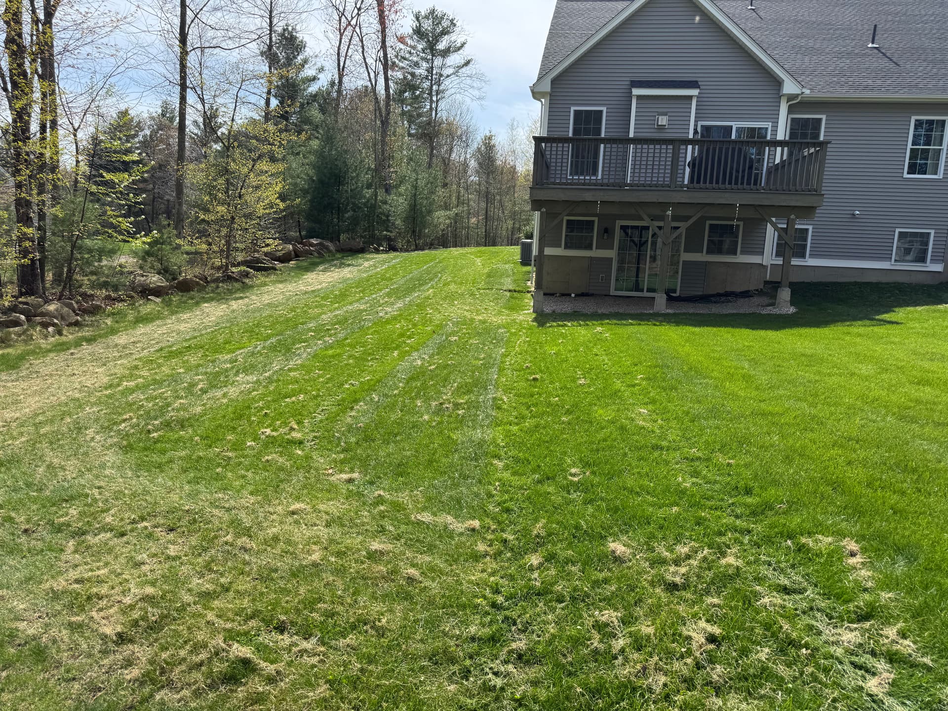 Gallery photos for Dethatching, Aeration, and Overseeding Done Right in Willington: Image #1