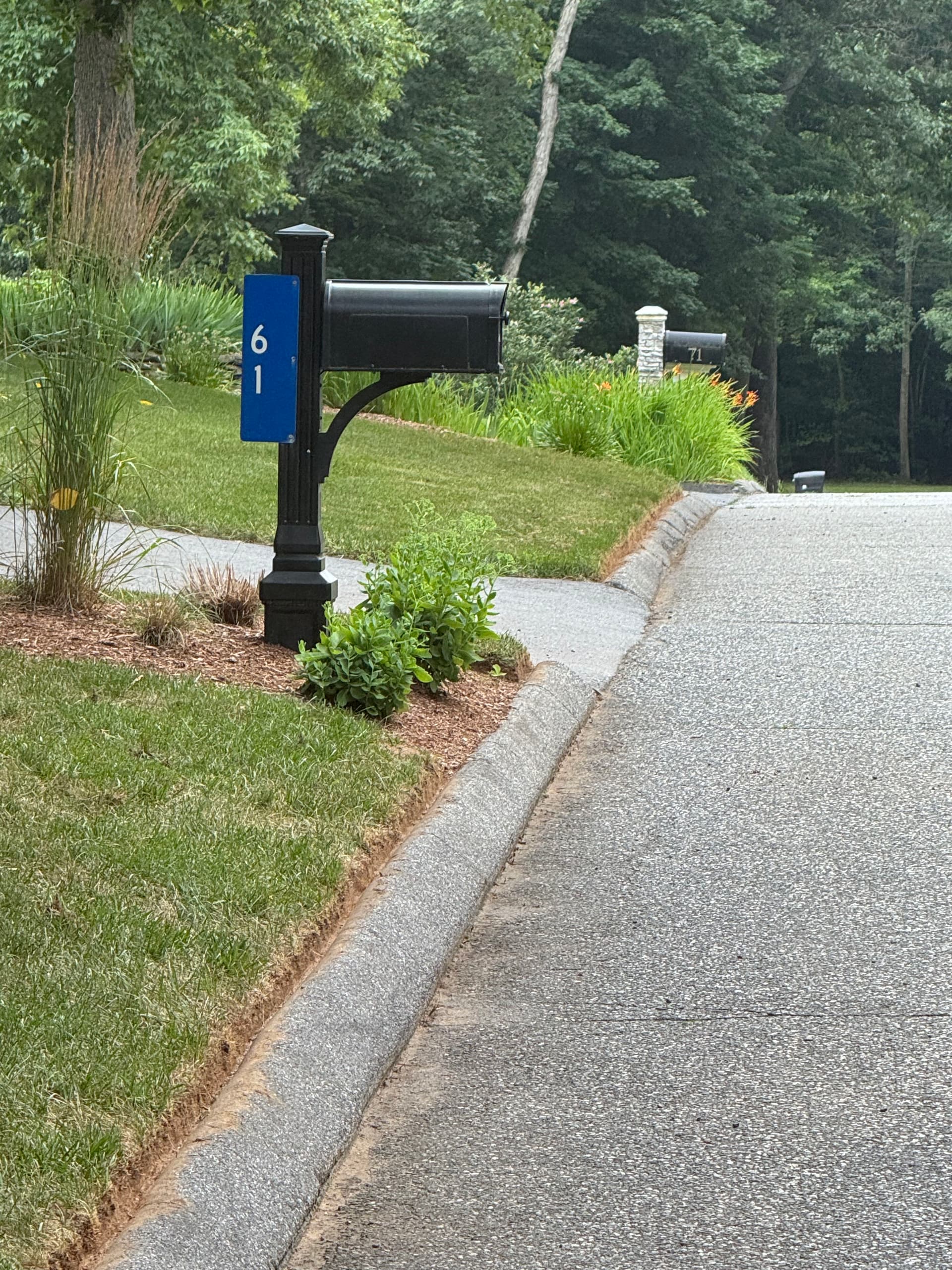 Gallery photos for Curb Appeal Starts at the Curb Line: Image #1