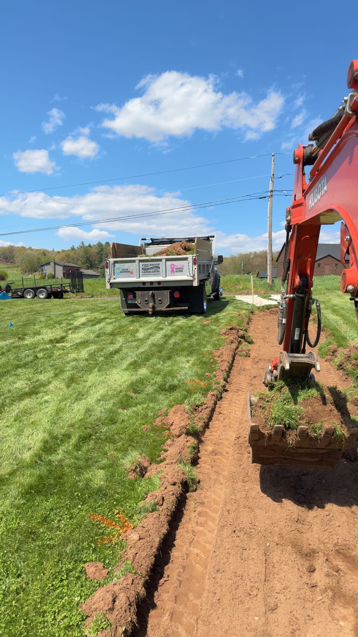 Gallery photos for 26 Thuja Green Giants Planted for Privacy in Ellington CT: Image #5