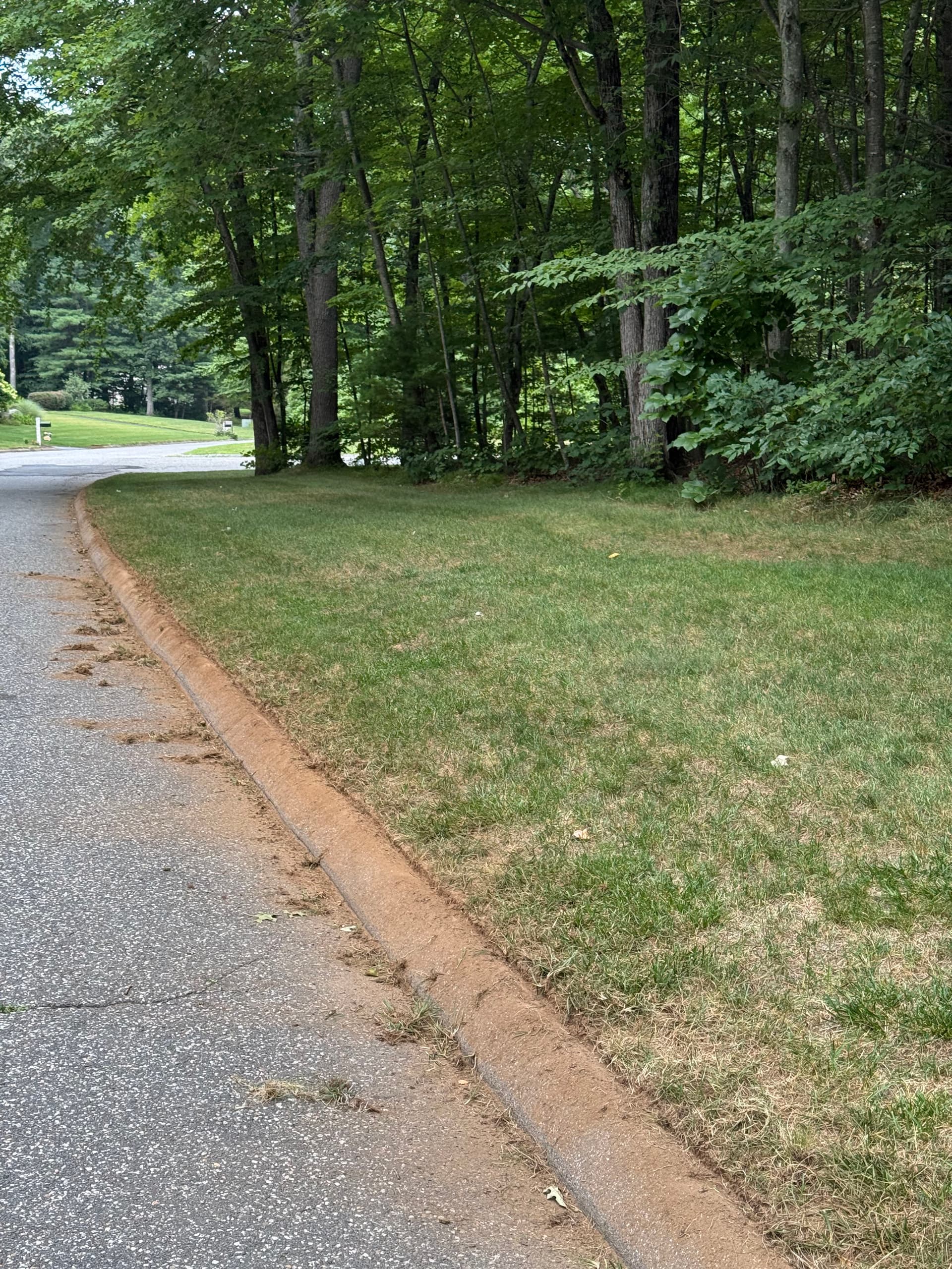 Gallery photos for Curb Appeal Starts at the Curb Line: Image #2