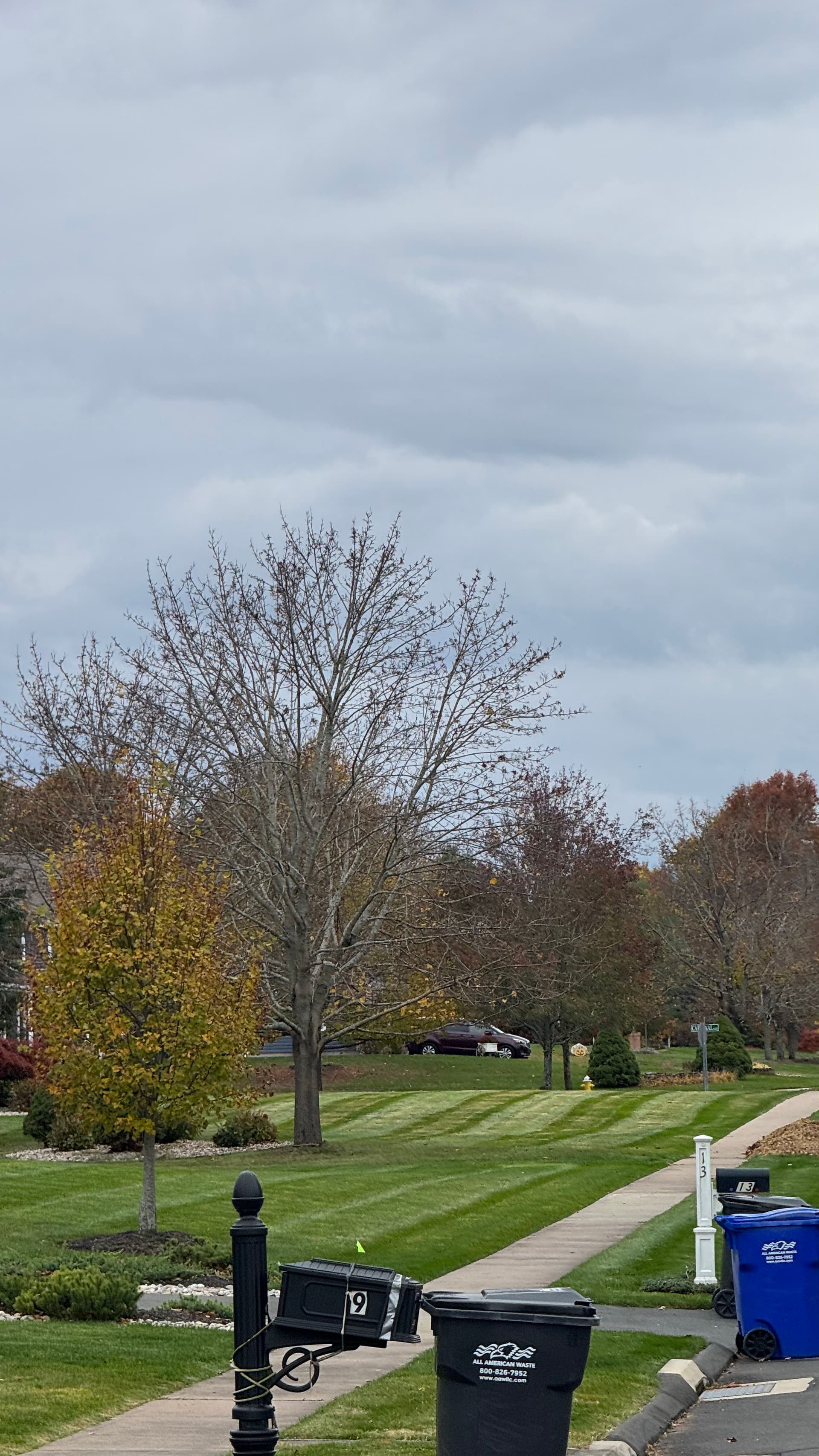 Gallery photos for Stunning Seasonal Lawn Care in South Windsor: Image #3