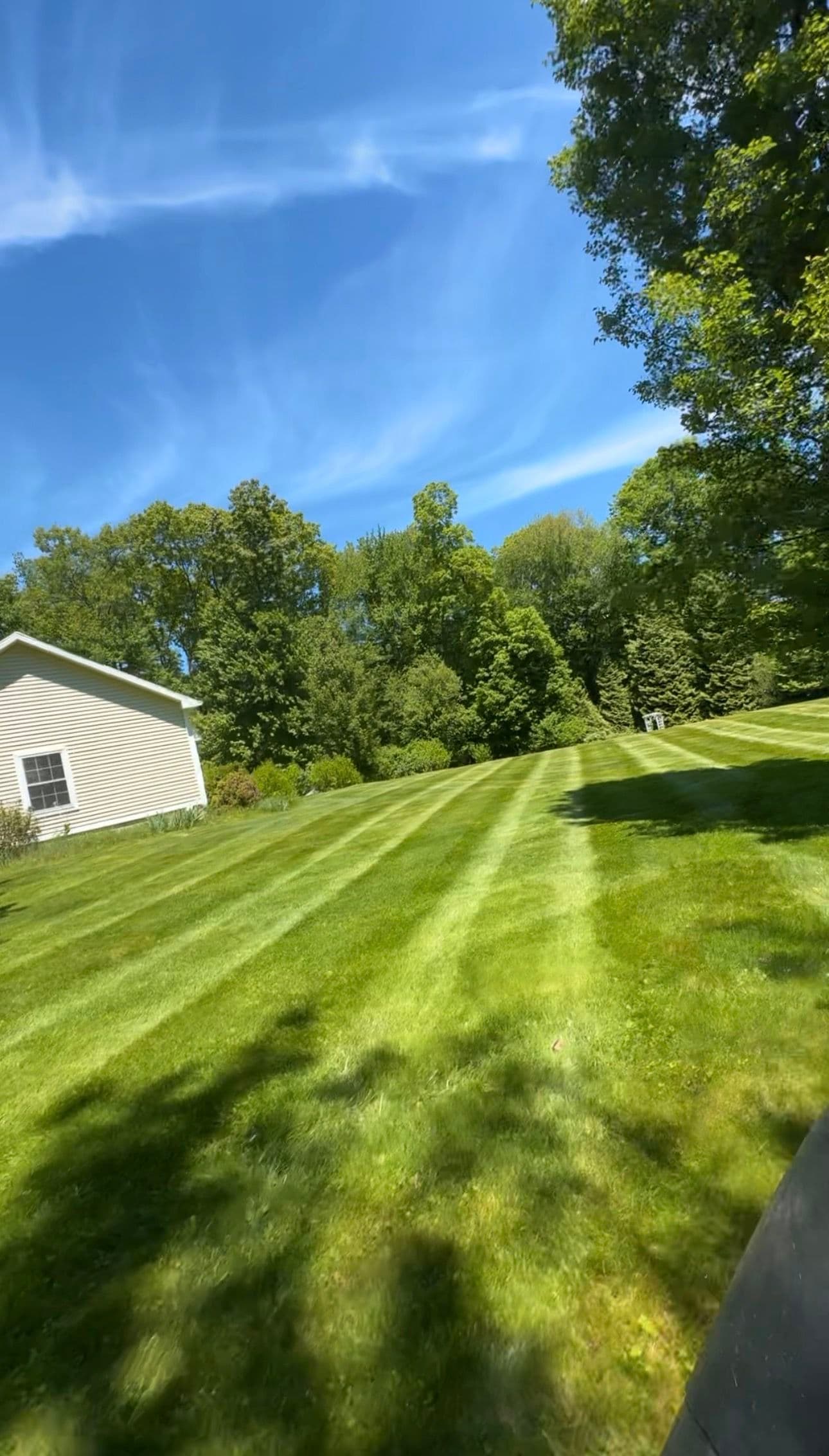 Overgrown Lawn Gets a Clean Reset