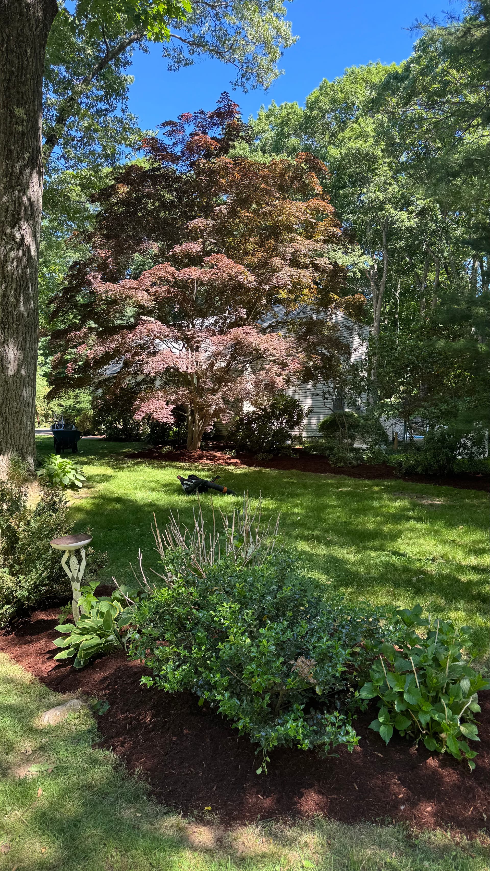 Fresh Mulch Installation That Ties the Whole Yard Together image