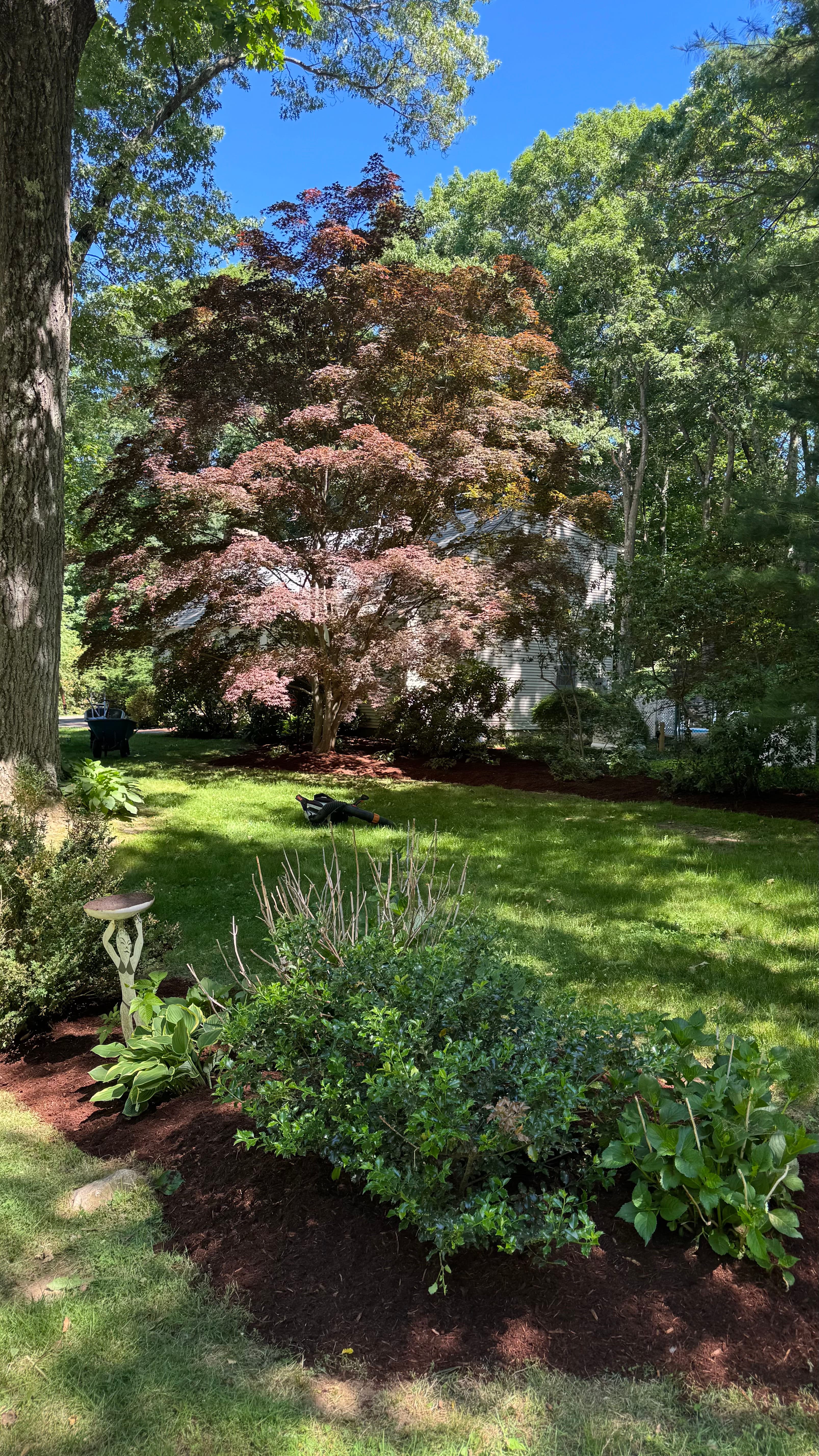 Project Fresh Mulch Installation That Ties the Whole Yard Together image