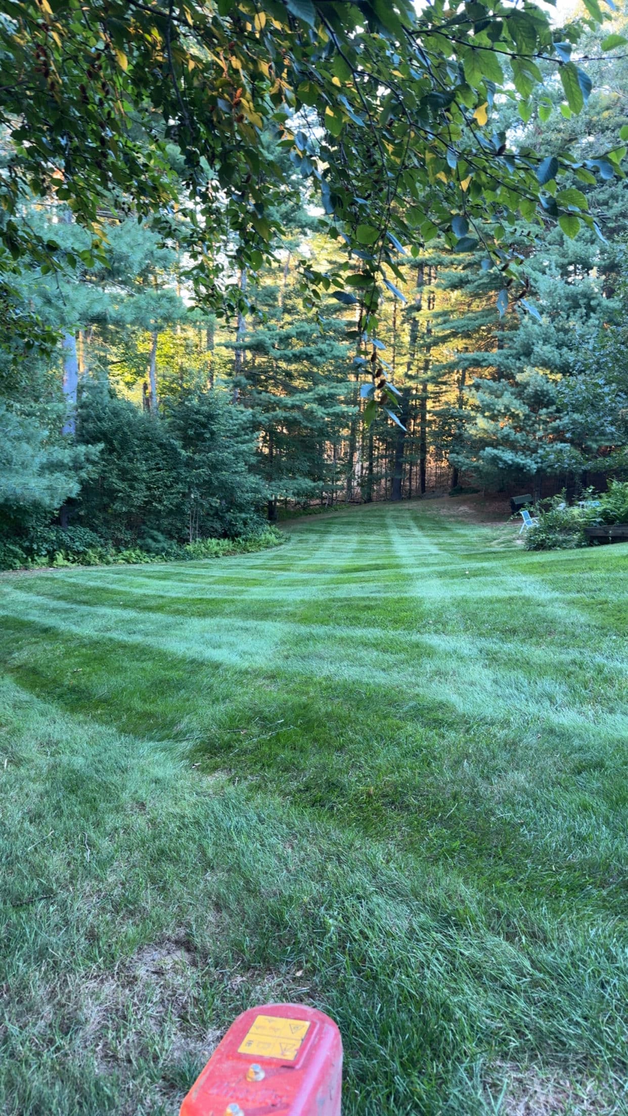 Gallery photos for 2026 Mowing Season Slots Are Filling Fast: Image #3