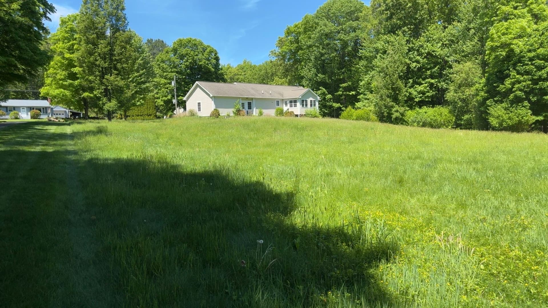 Gallery photos for Overgrown Lawn Gets a Clean Reset: Image #1