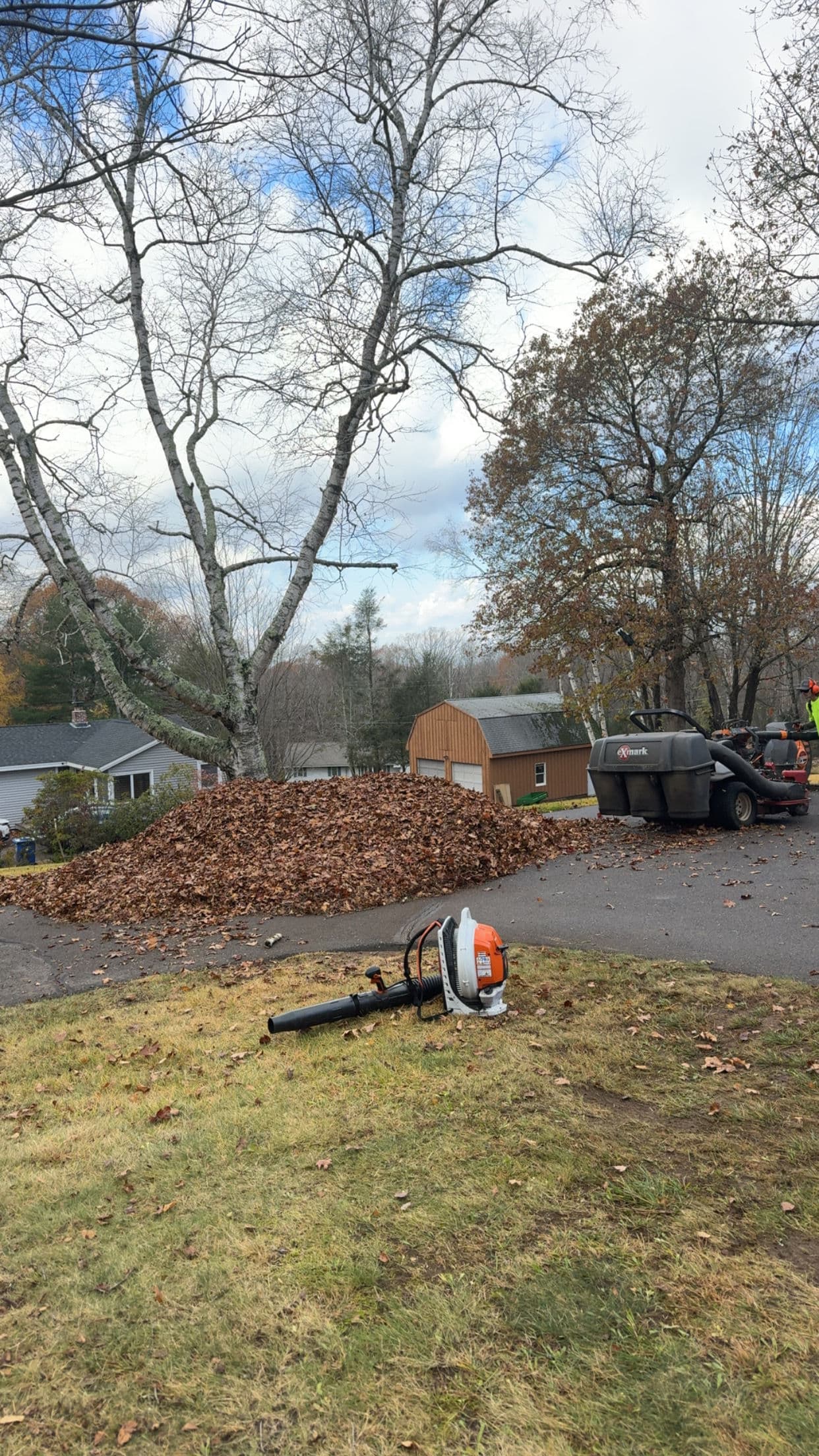 Gallery photos for Curbside Leaf Pickup Is Back - Here's How We Handle It: Image #3