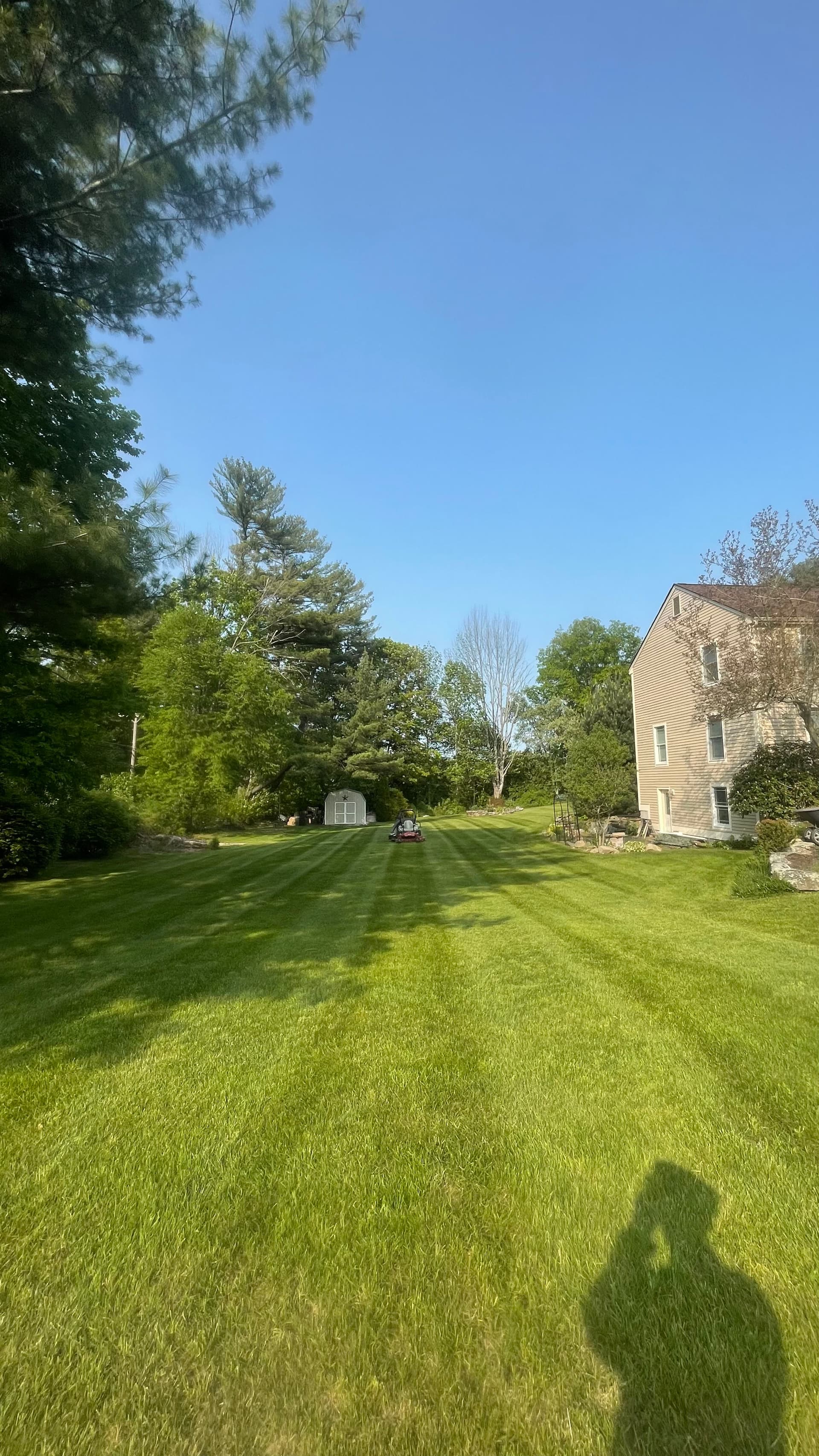 Gallery photos for Elevate Your Outdoor Space with Our Expert Landscaping: Image #4