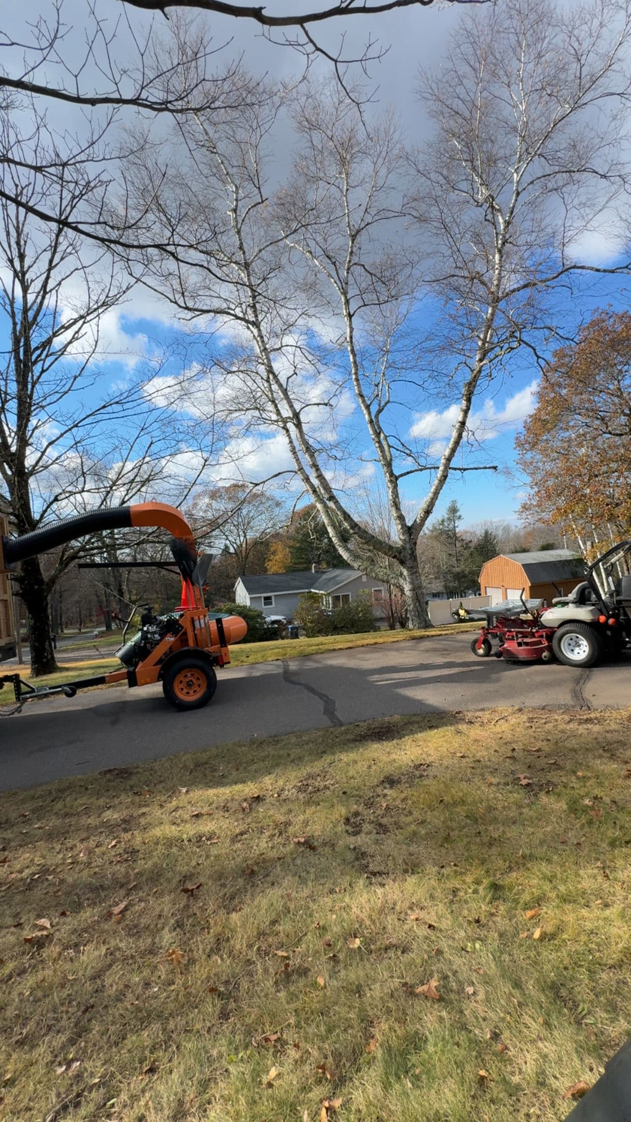 Gallery photos for Fall Cleanup and Curbside Leaf Pickup Now Booking: Image #9