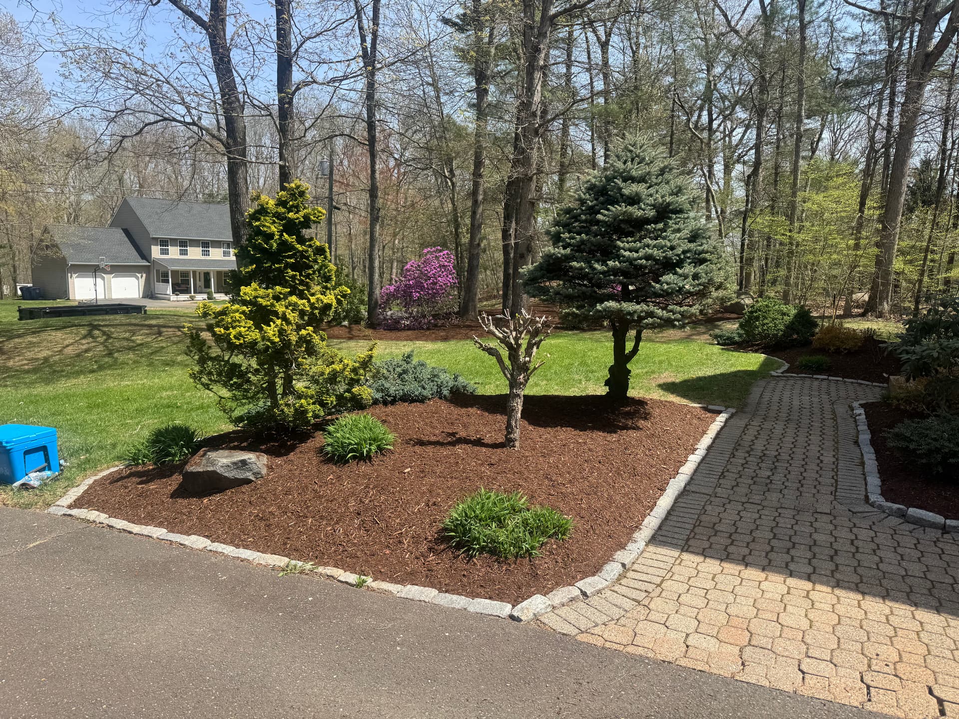 Gallery photos for Elevate Your Outdoor Space with Our Expert Landscaping: Image #2