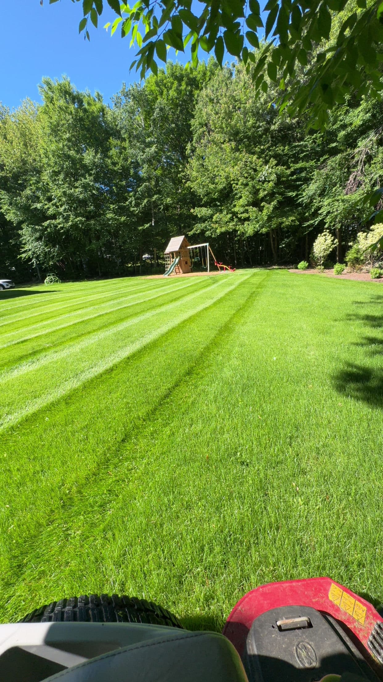 Gallery photos for Weekly Lawn Mowing in Tolland CT That Actually Shows Up: Image #5
