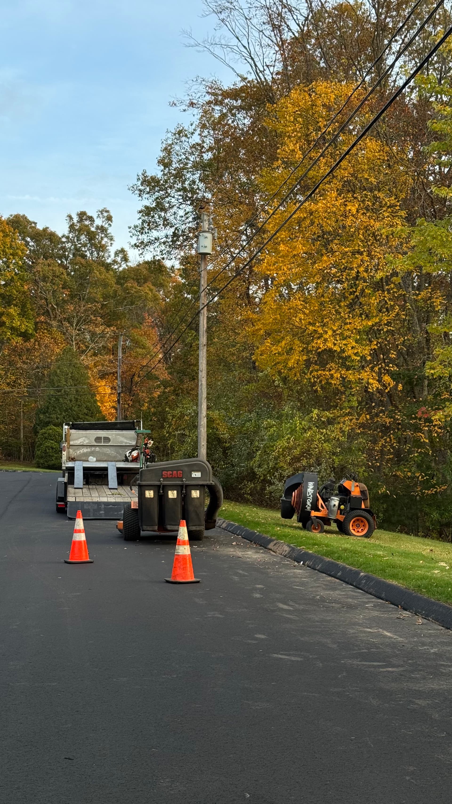 Gallery photos for Fall Cleanup and Curbside Leaf Pickup Now Booking: Image #2