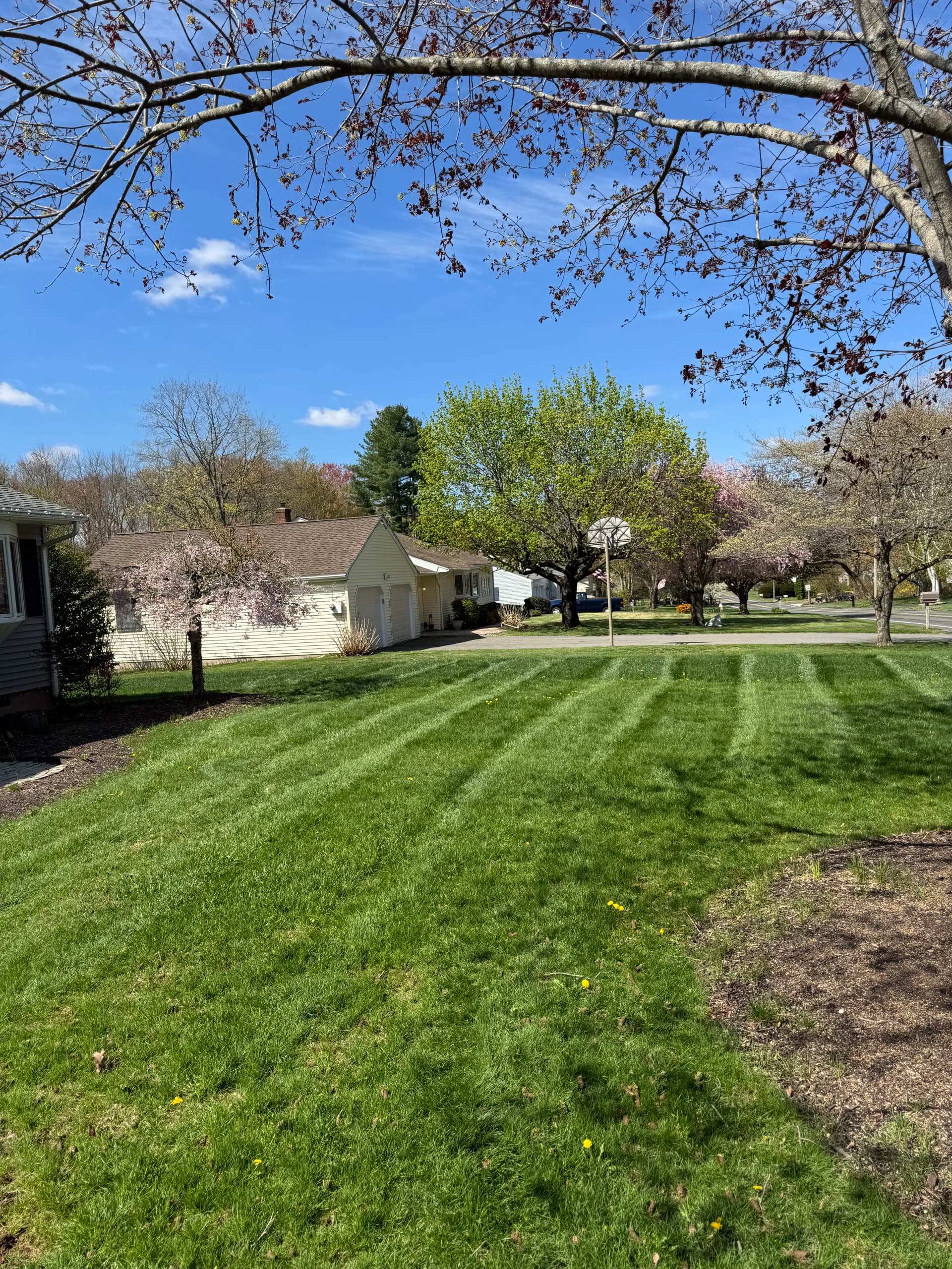 Gallery photos for Fall Core Aeration and Overseeding Spots Are Filling Up Fast: Image #3