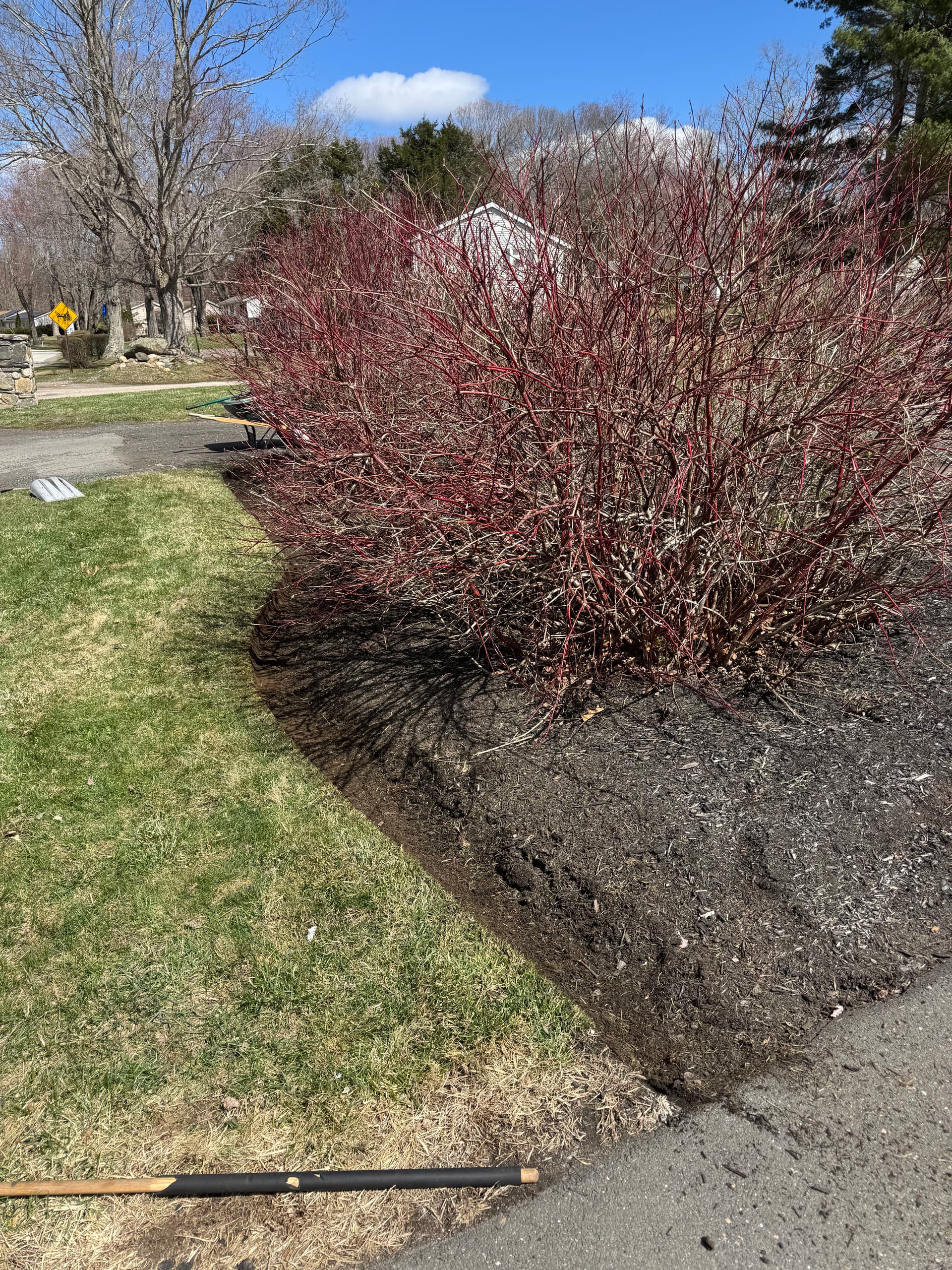 Gallery photos for Fresh Mulch and Clean Edging on a Commercial Outdoor Space: Image #4