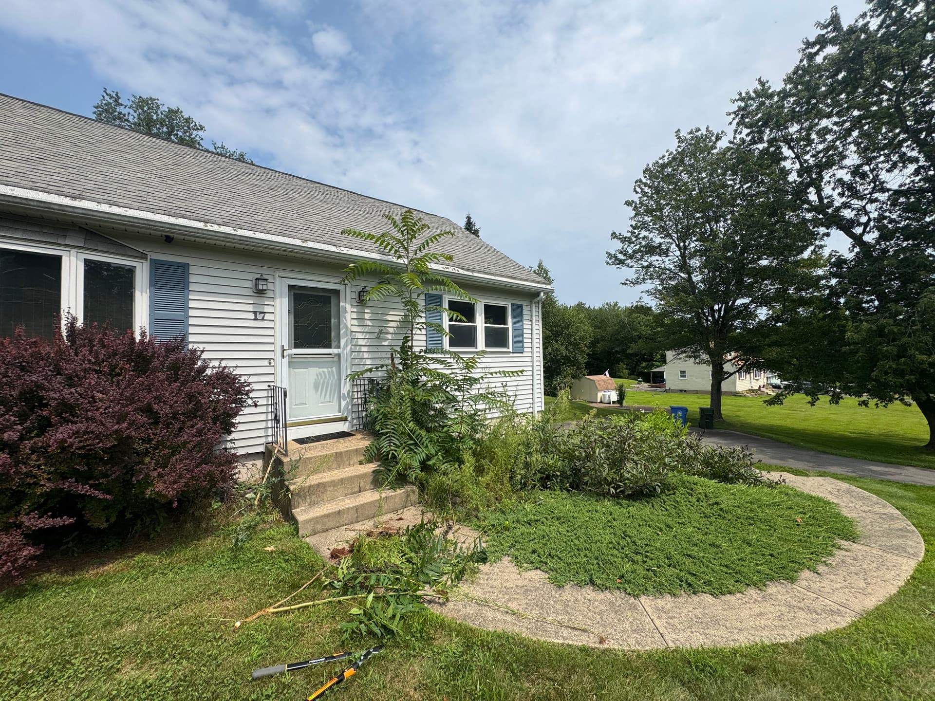 Gallery photos for Overgrown Beds Cleaned Up with Fresh Mulch and Sharp Edges: Image #1
