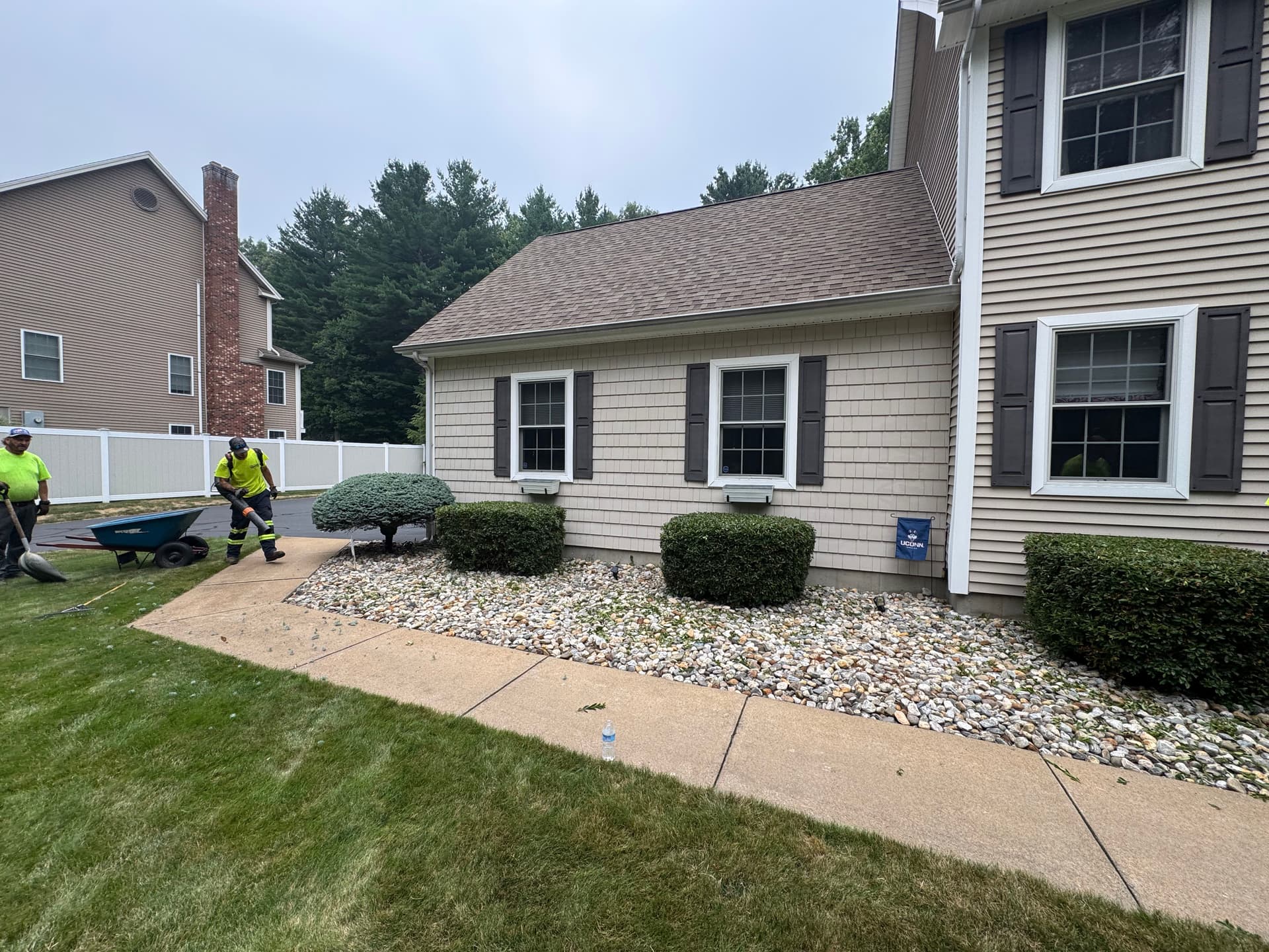 Gallery photos for Shrub Trimming and Cleanup That Keeps a Property Looking Sharp: Image #2