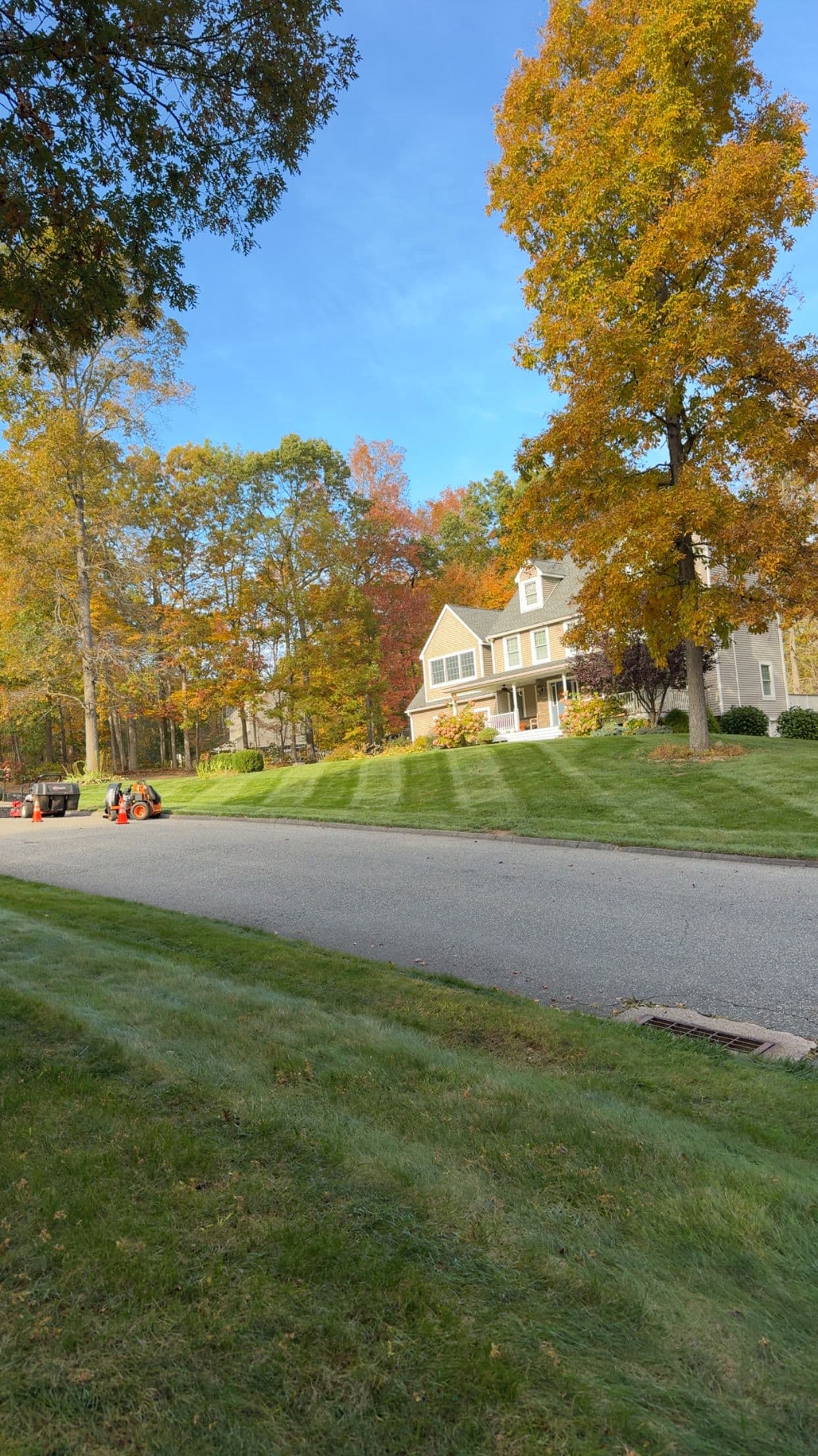Gallery photos for Fall Cleanup and Curbside Leaf Pickup Now Booking: Image #3