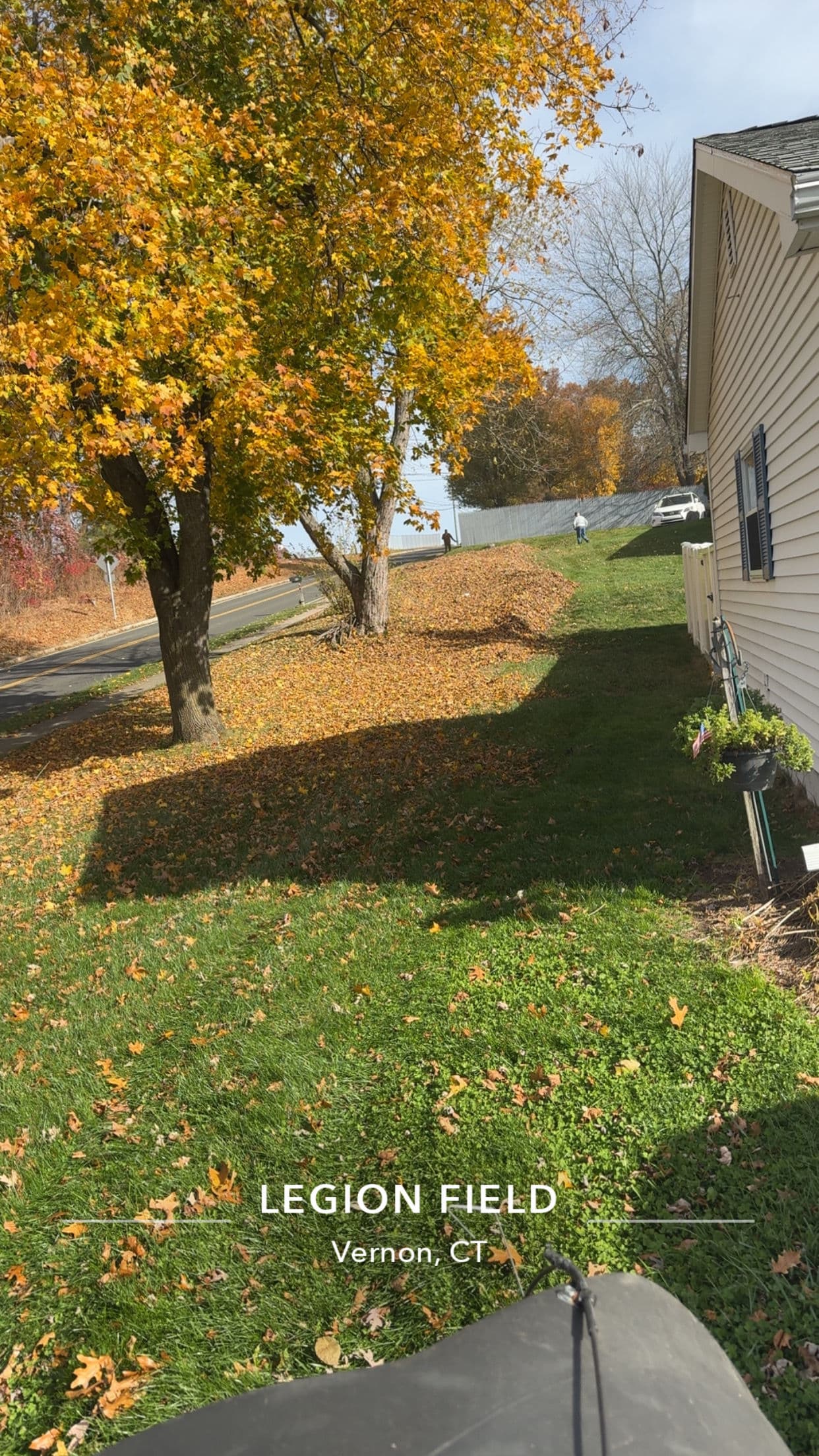 Gallery photos for Fall Cleanup and Curbside Leaf Pickup Now Booking: Image #7