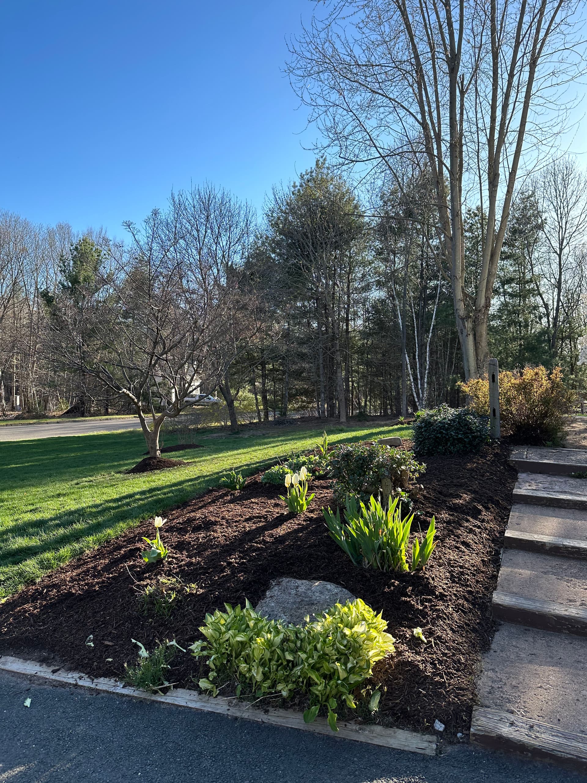 Gallery photos for Elevate Your Outdoor Space with Our Expert Landscaping: Image #5