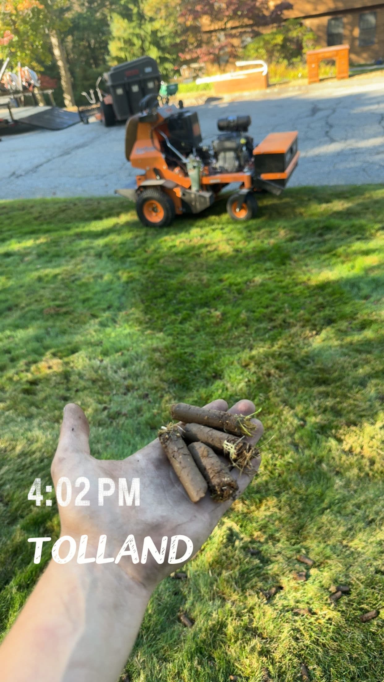 Gallery photos for Core Aeration and Overseeding That Actually Gets Results: Image #3