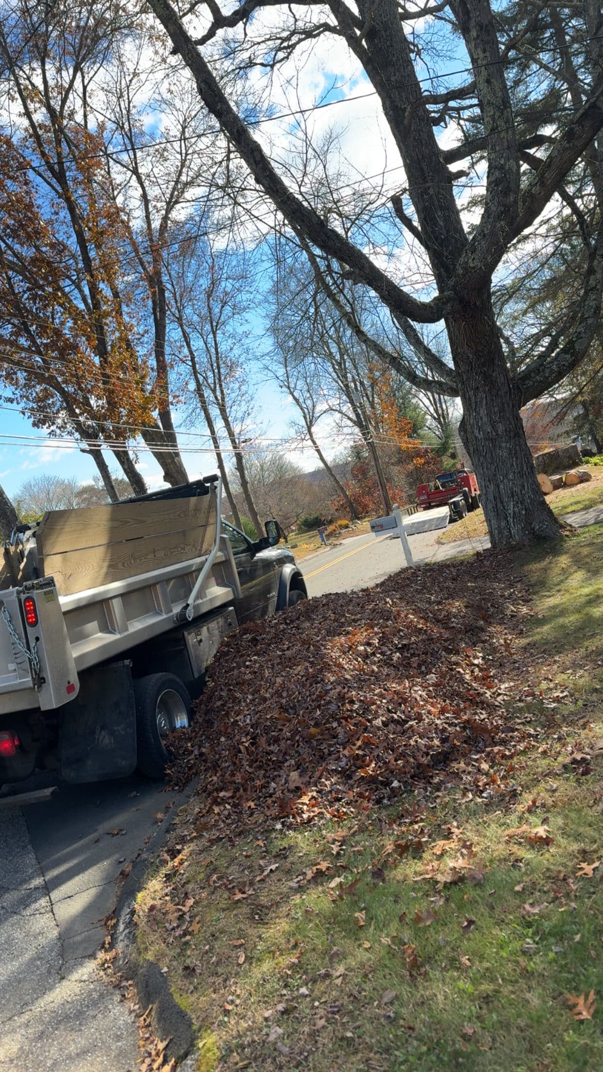 Gallery photos for Curbside Leaf Pickup Is Back - Here's How We Handle It: Image #2