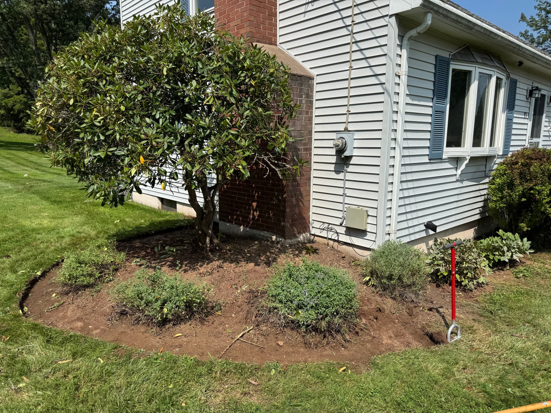 Gallery photos for Overgrown Beds Cleaned Up with Fresh Mulch and Sharp Edges: Image #3