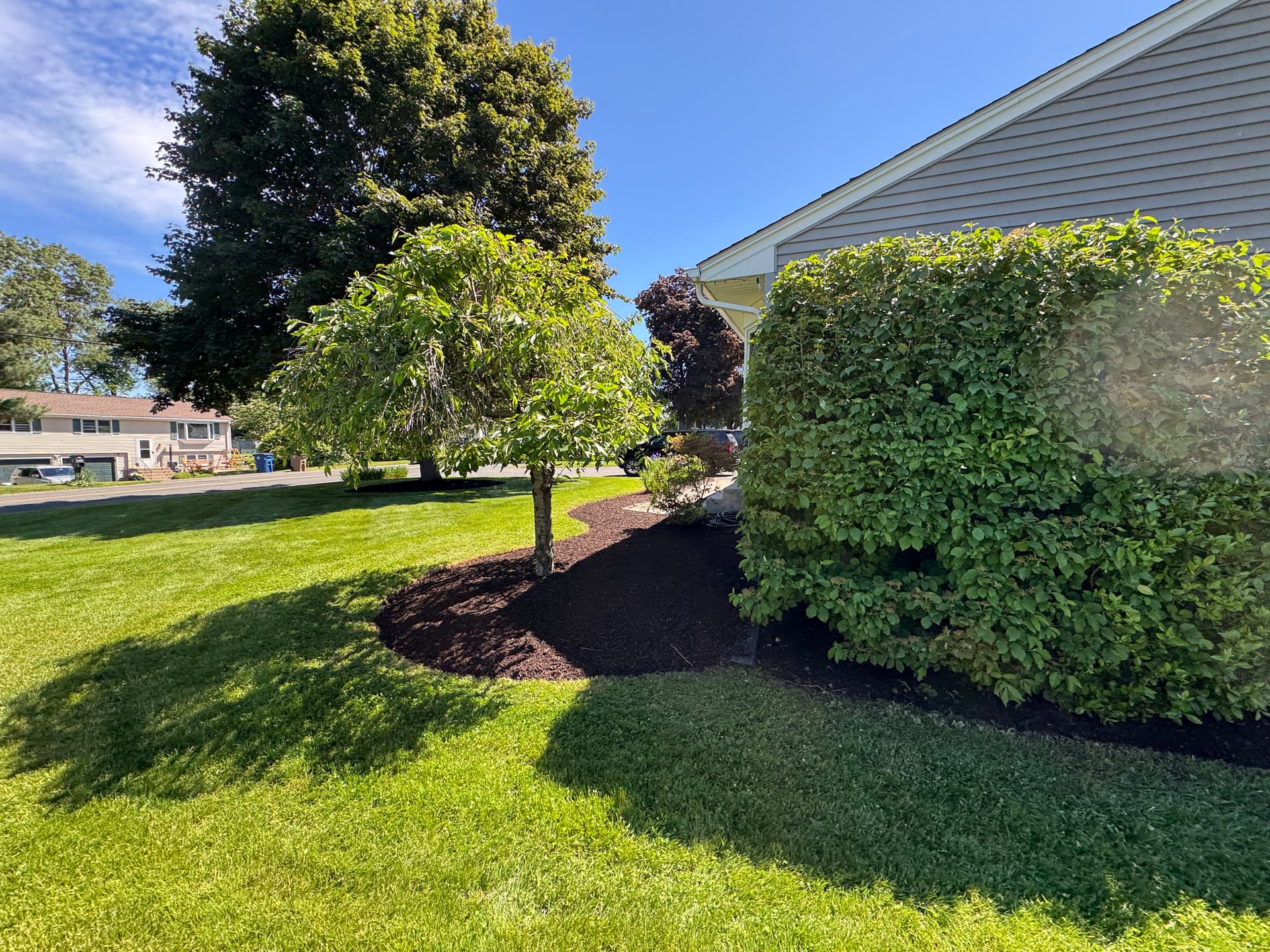 Gallery photos for Fresh Mulch and Clean Beds That Actually Work For Your Yard: Image #2
