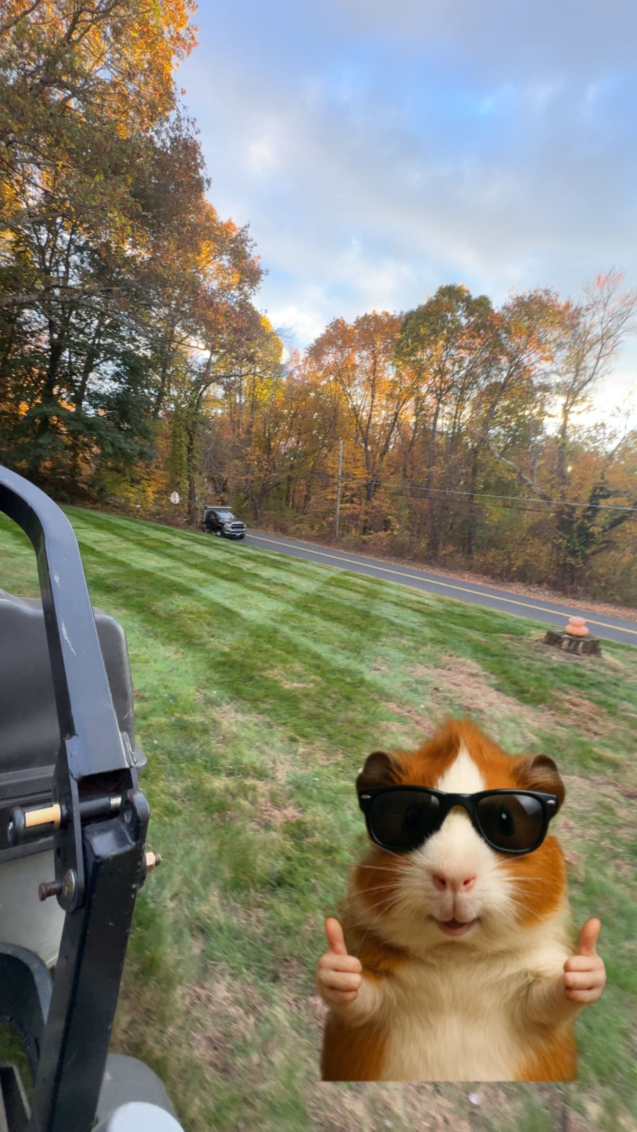 Gallery photos for Fall Cleanup and Curbside Leaf Pickup Now Booking: Image #6